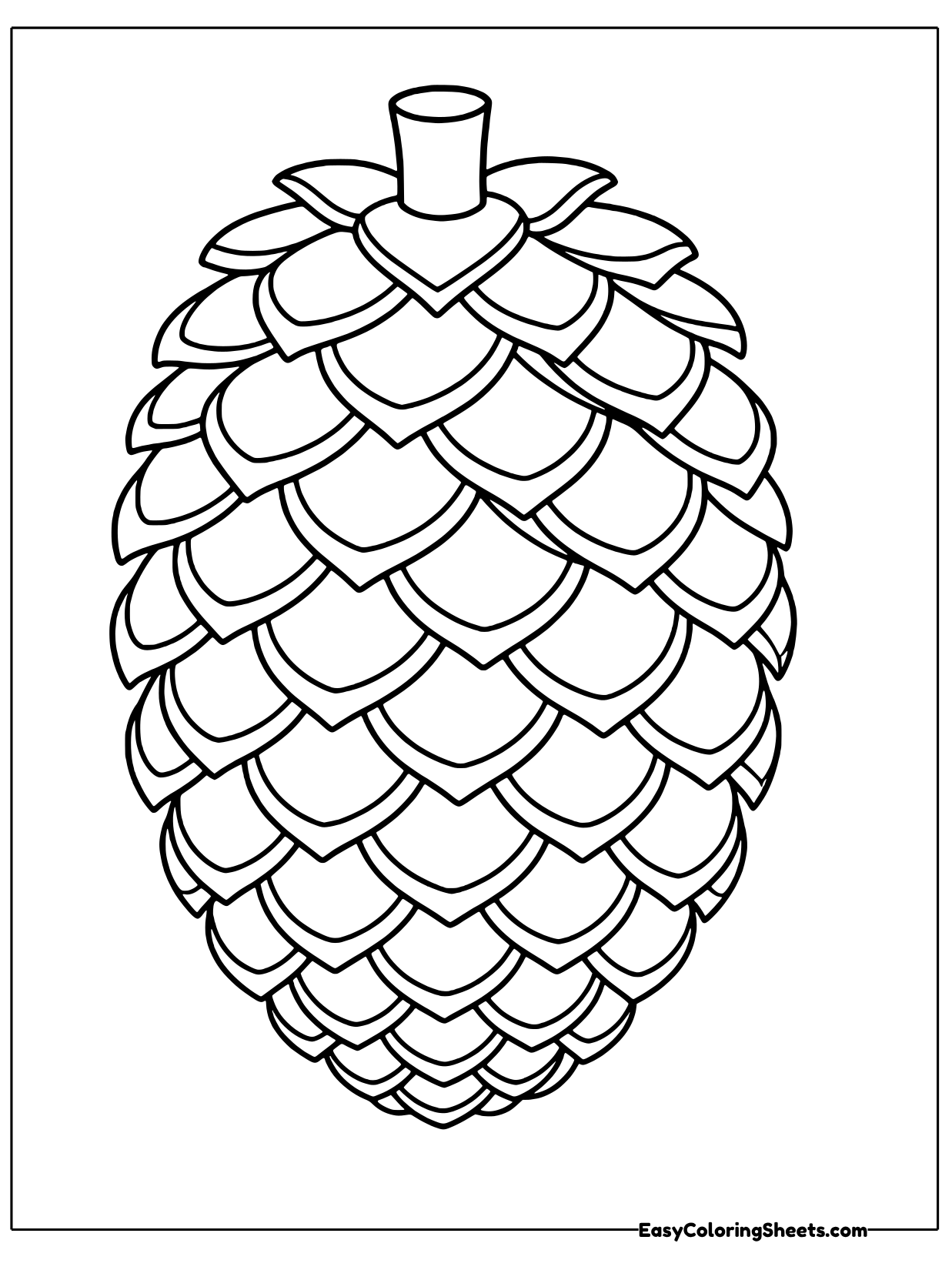 A single pinecone stands upright with a short stem and layered scales.