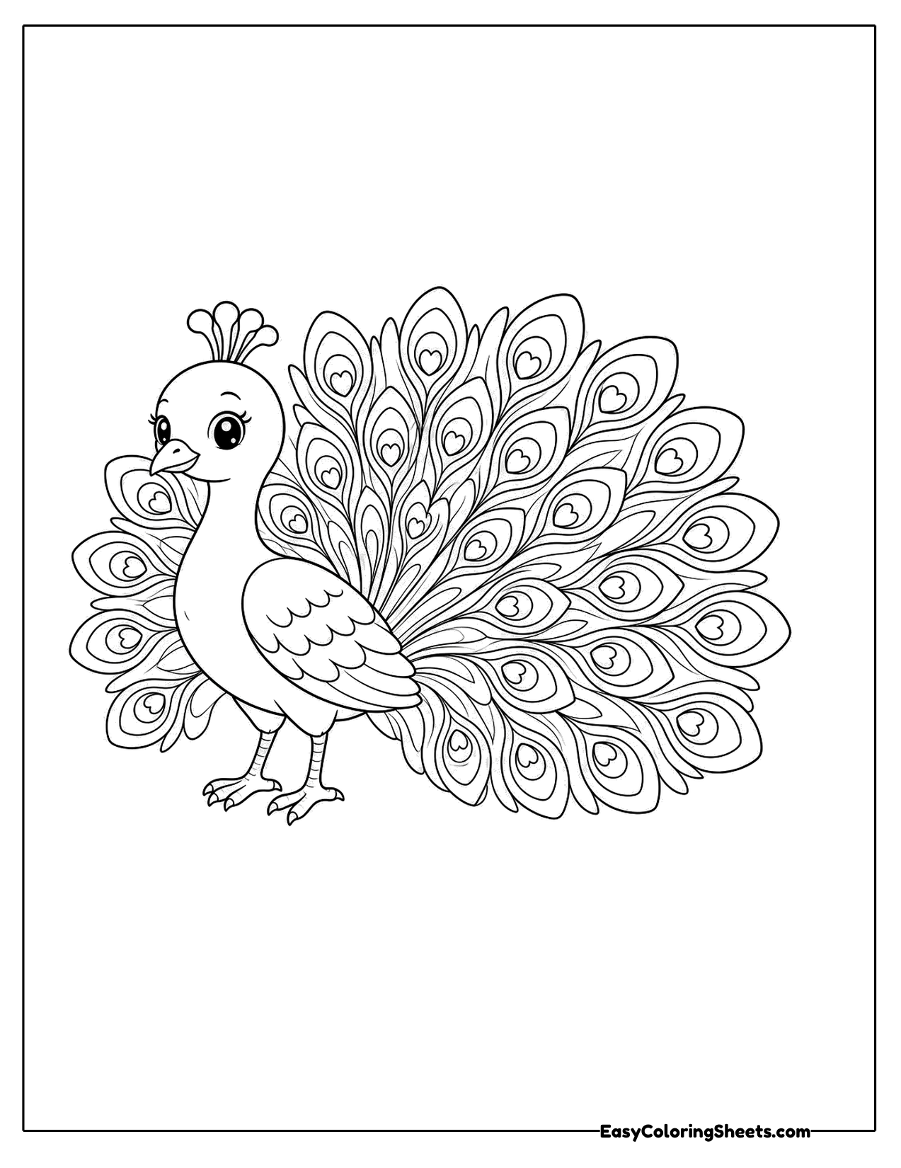 Peacock with heart-shaped tail feathers