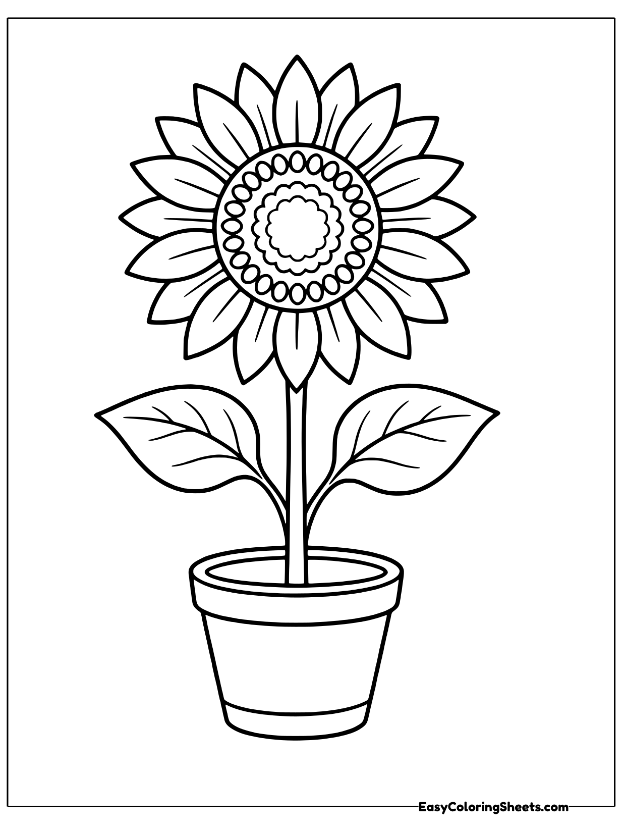 A tall sunflower with layered pointed petals and a big patterned center grows straight up from a simple clay pot.