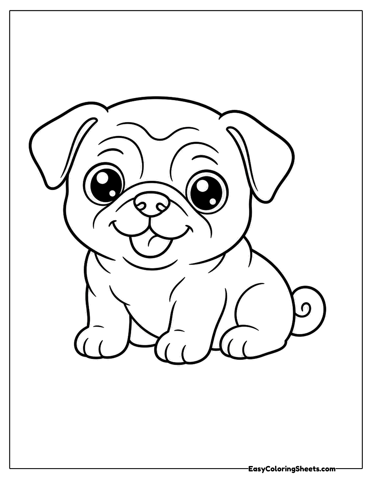 Baby pug with a wrinkly face