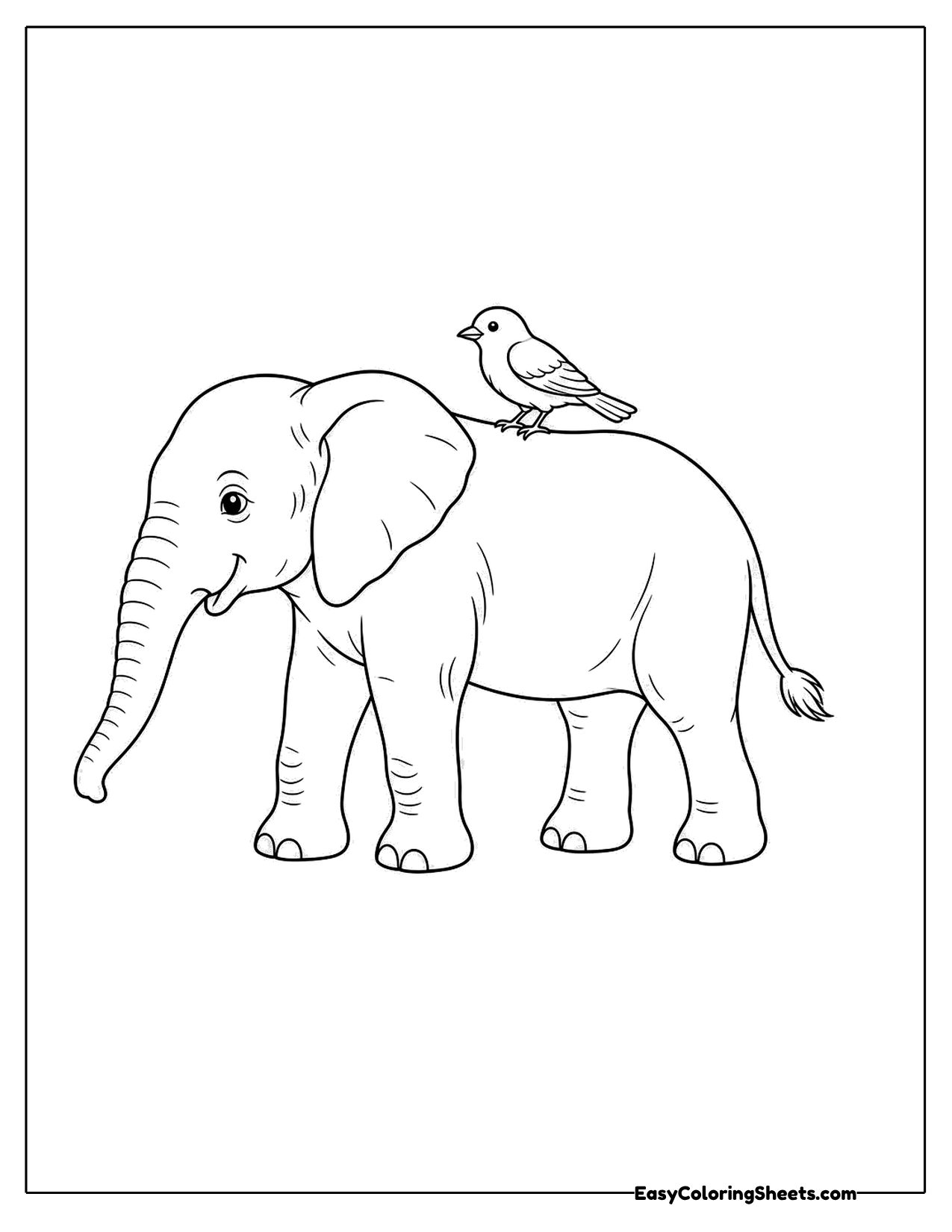 Elephant with a bird on its back