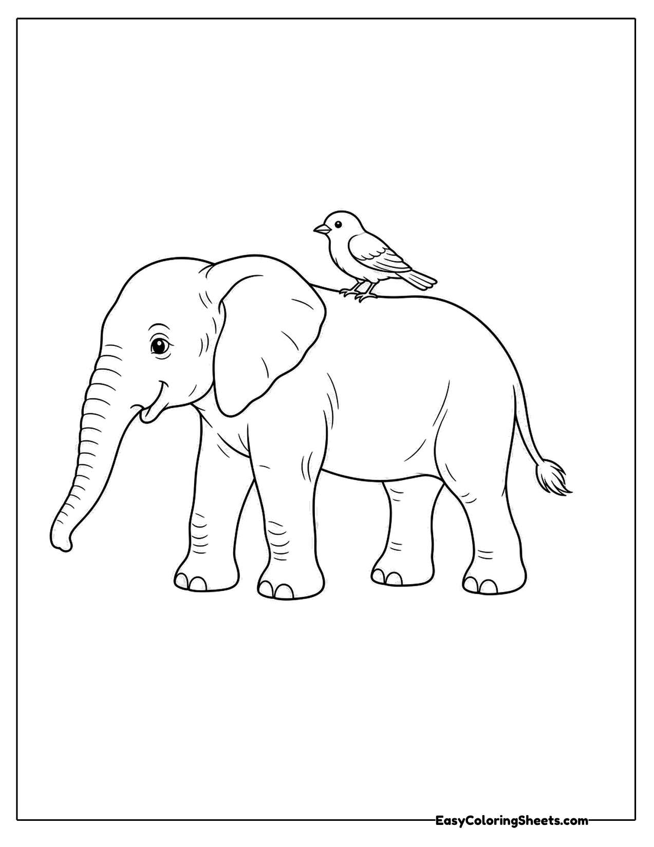 Elephant with a bird on its back