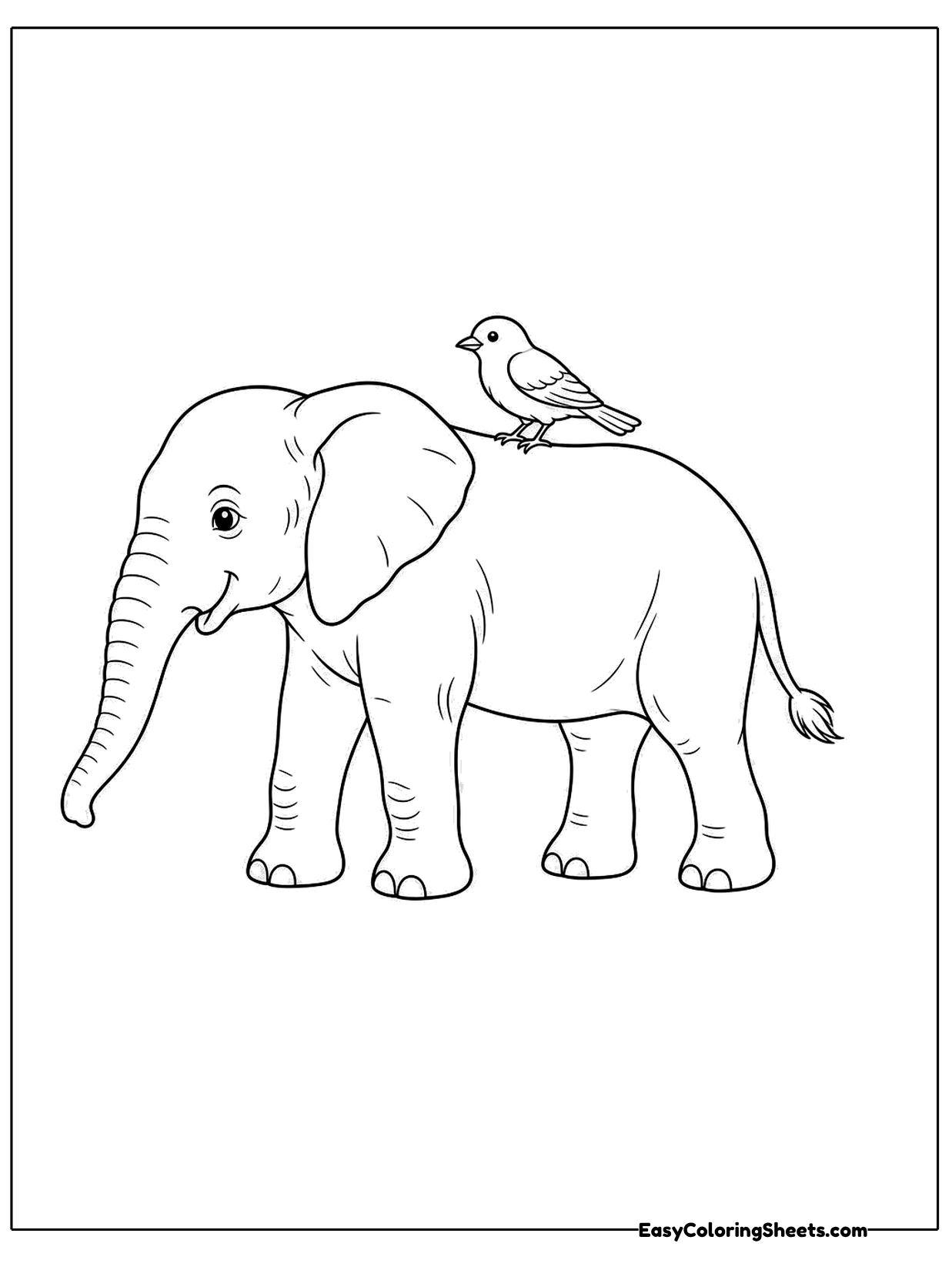 An elephant walks with a small bird perched on its back.