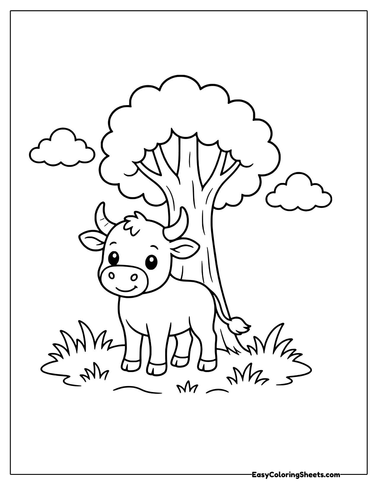 Bull calf resting in the shade of a tree