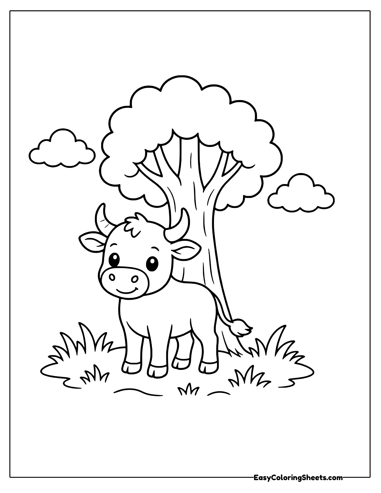 Bull calf resting in the shade of a tree