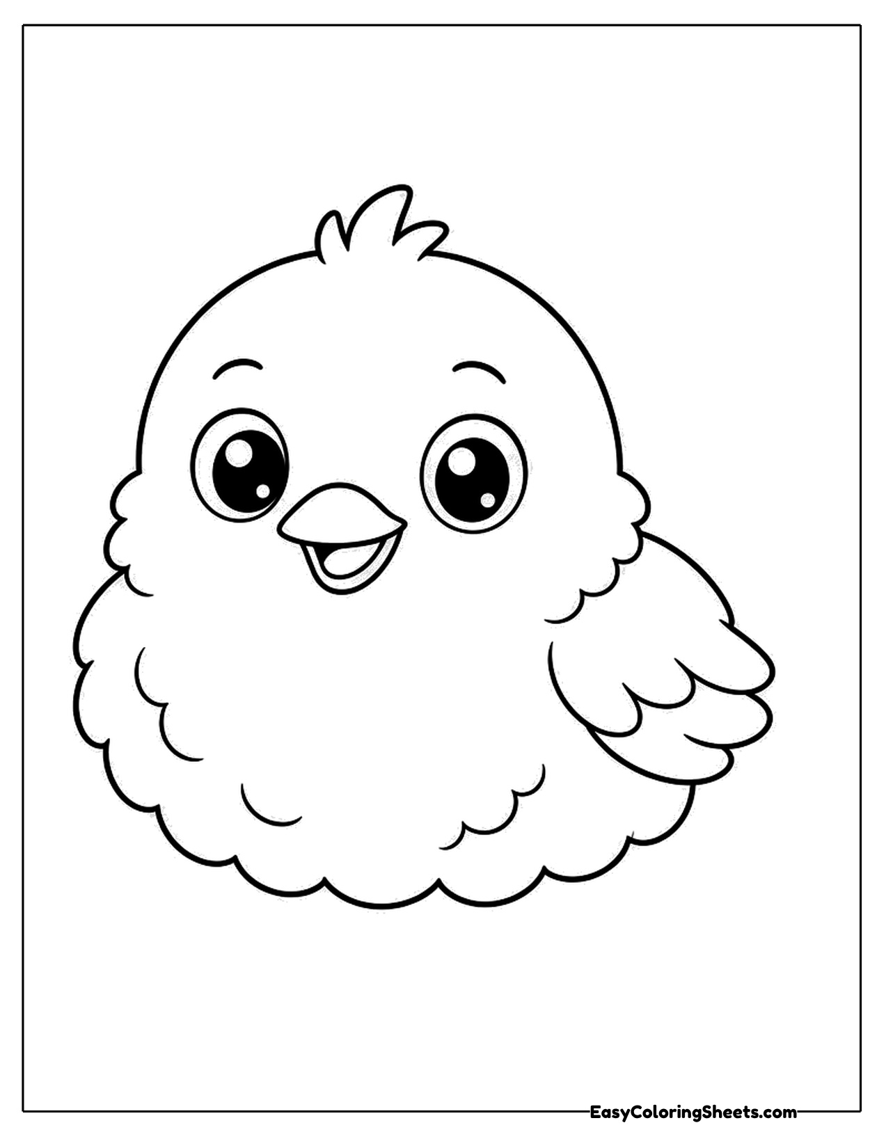 Round fluffy baby bird with big eyes
