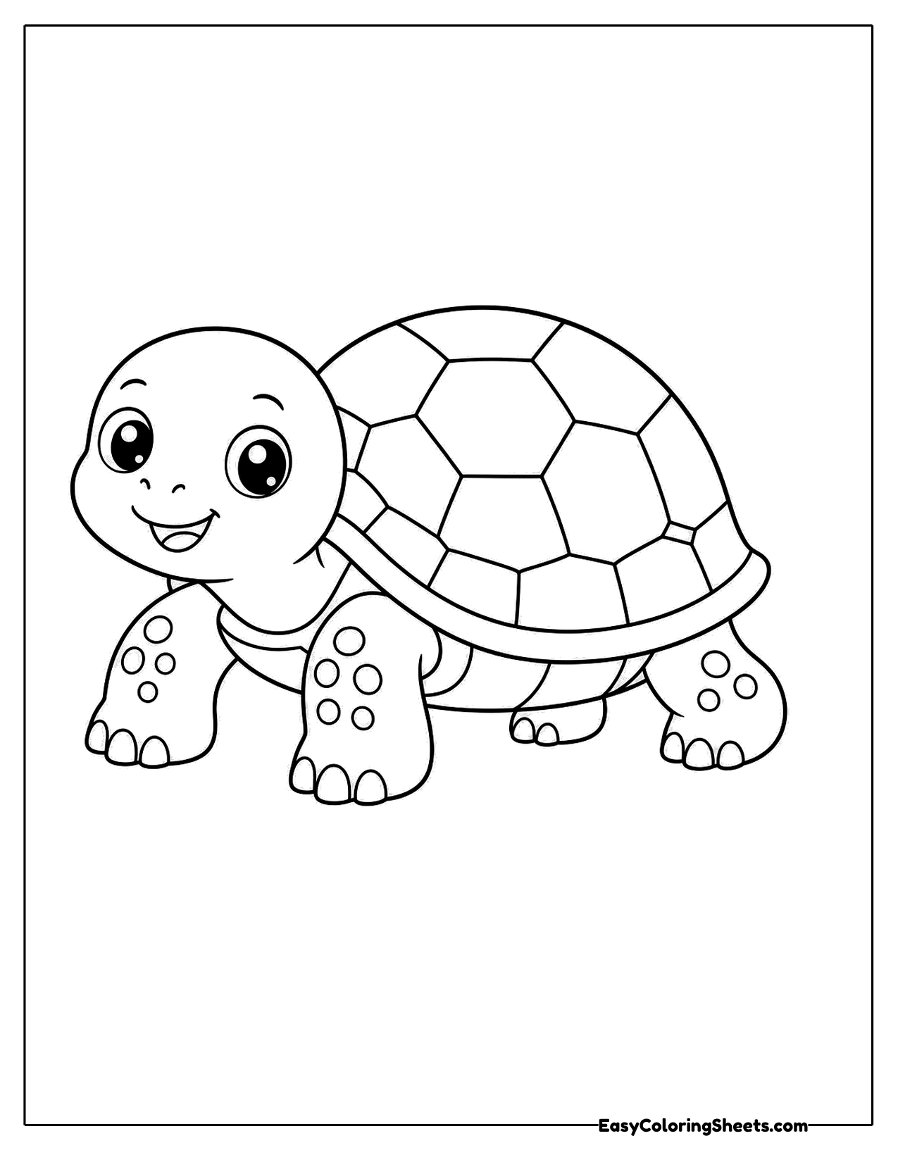 Turtle with a hexagon patterned shell