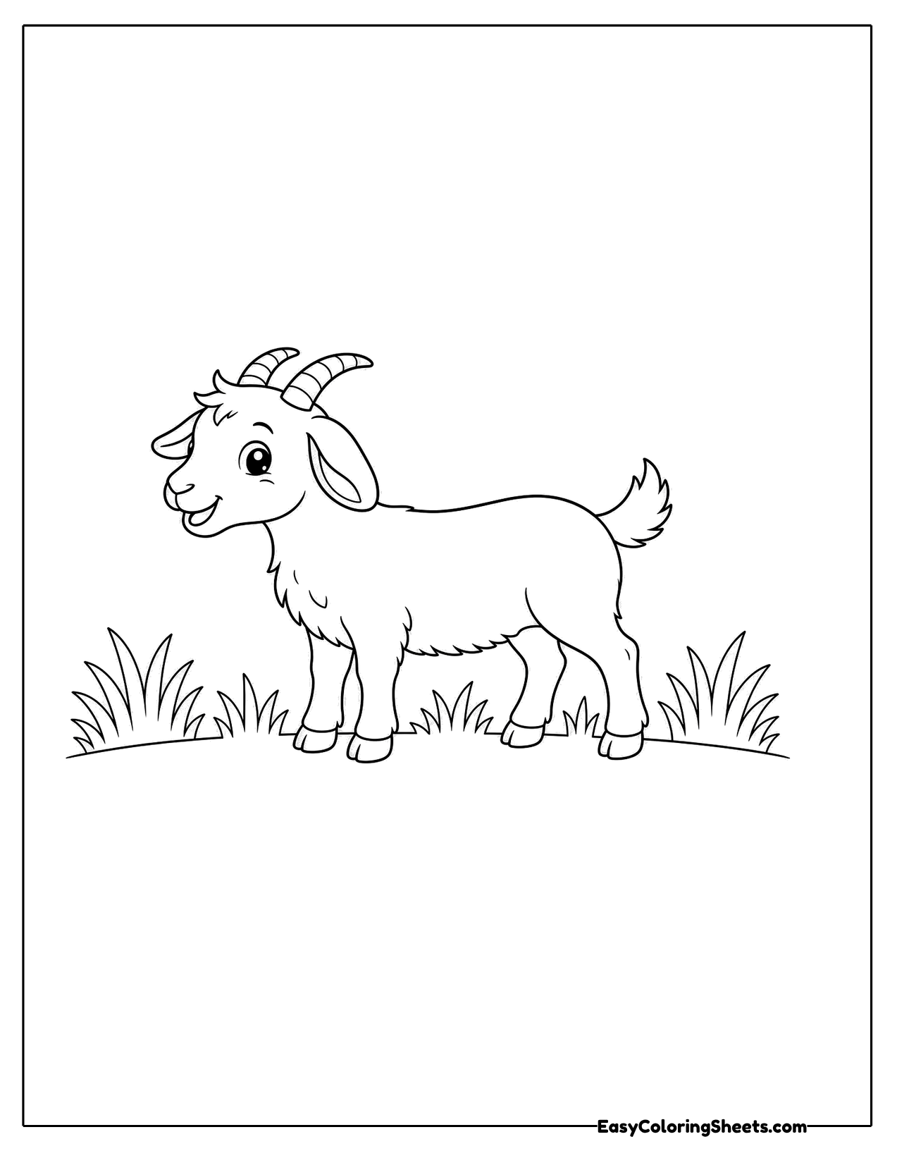 Goat grazing among tufts of grass