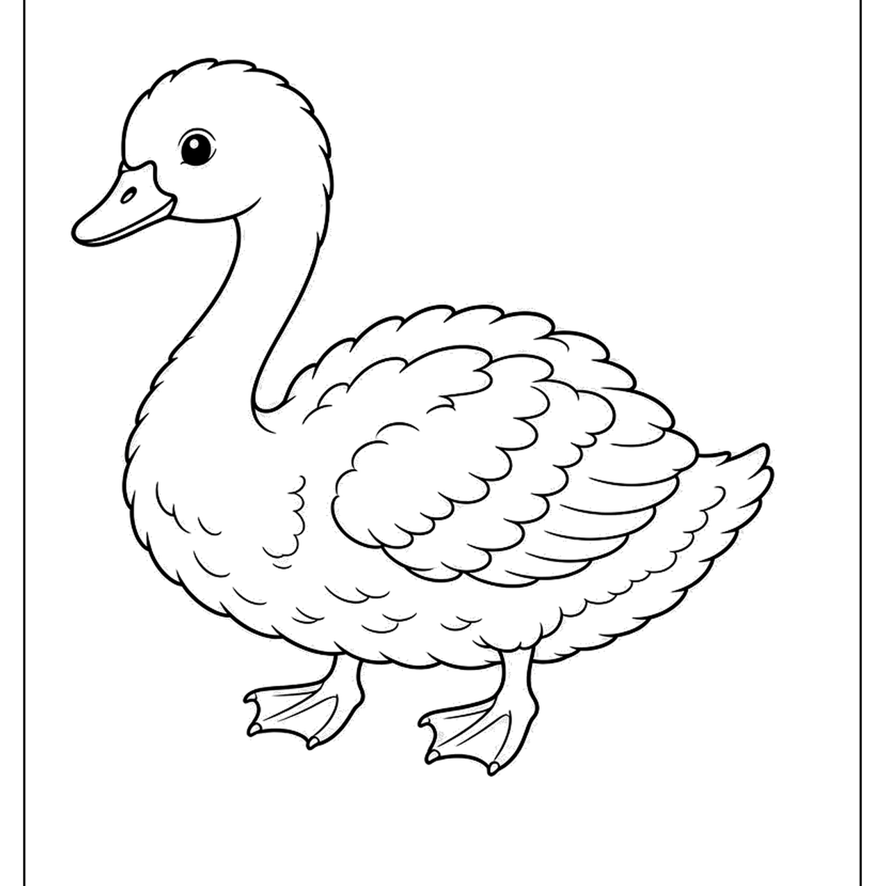 Swan standing with webbed feet