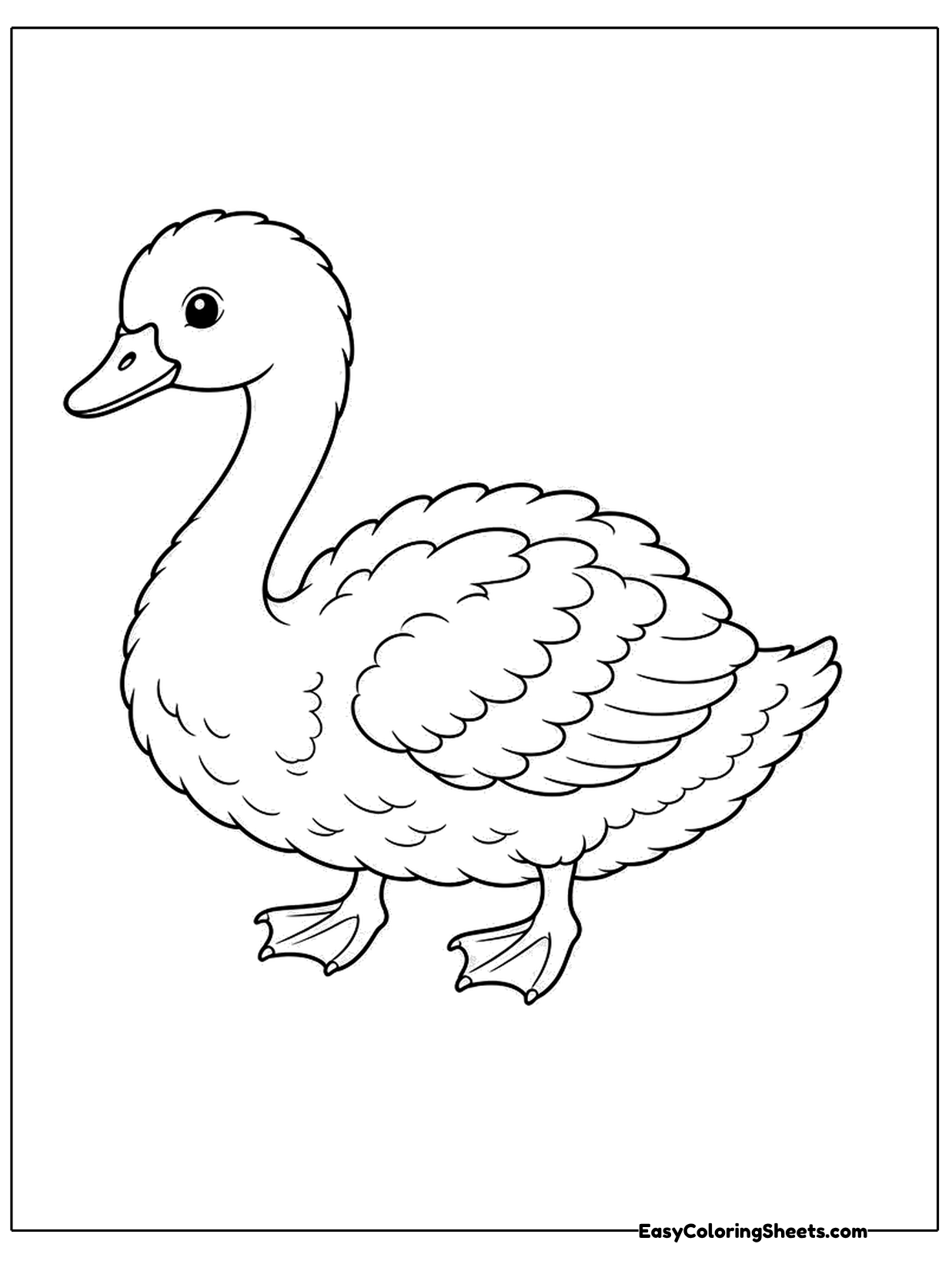A swan stands on two webbed feet with its neck curved and its feathered wings folded.