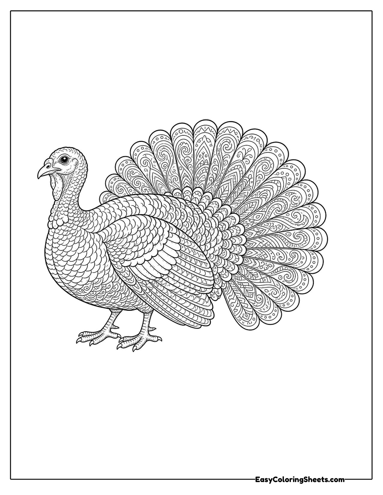 Detailed turkey with intricately patterned tail feathers