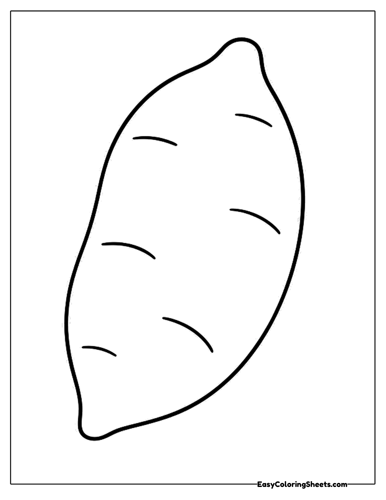 Single large sweet potato with small lines on its skin
