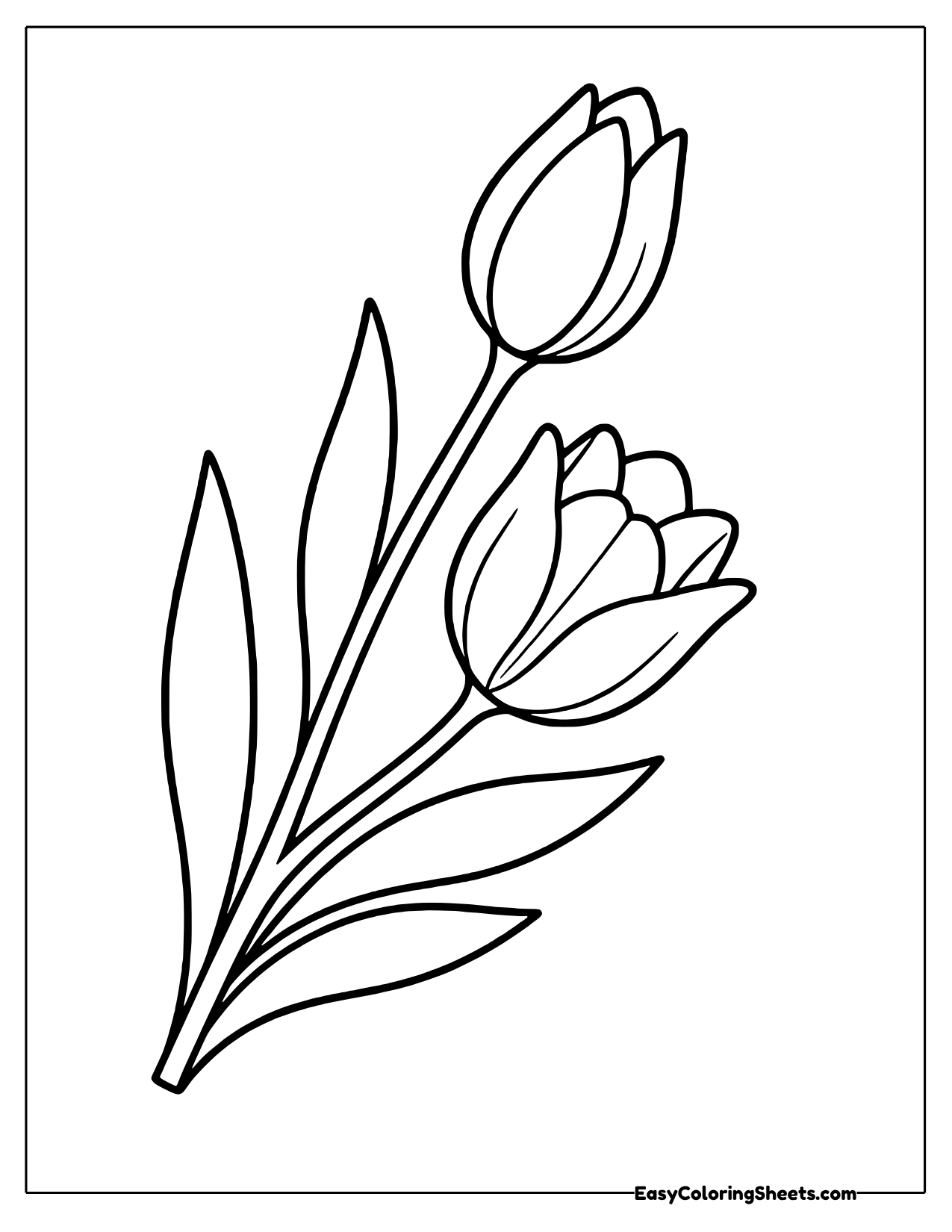 A single curving stem carries two tulips, one fully open at the top and a slimmer, tightly closed bud branching lower down.