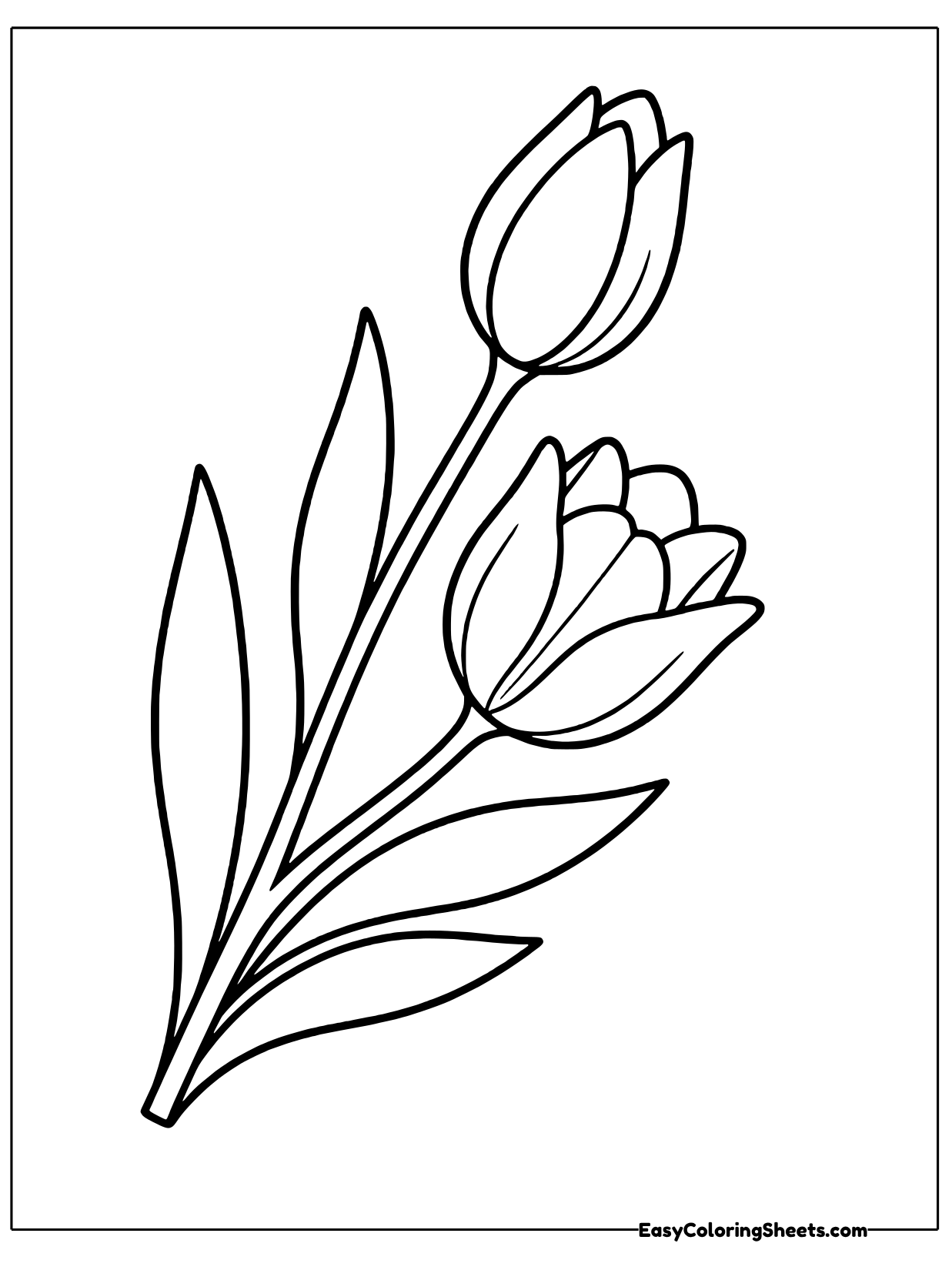 A single curving stem carries two tulips, one fully open at the top and a slimmer, tightly closed bud branching lower down.