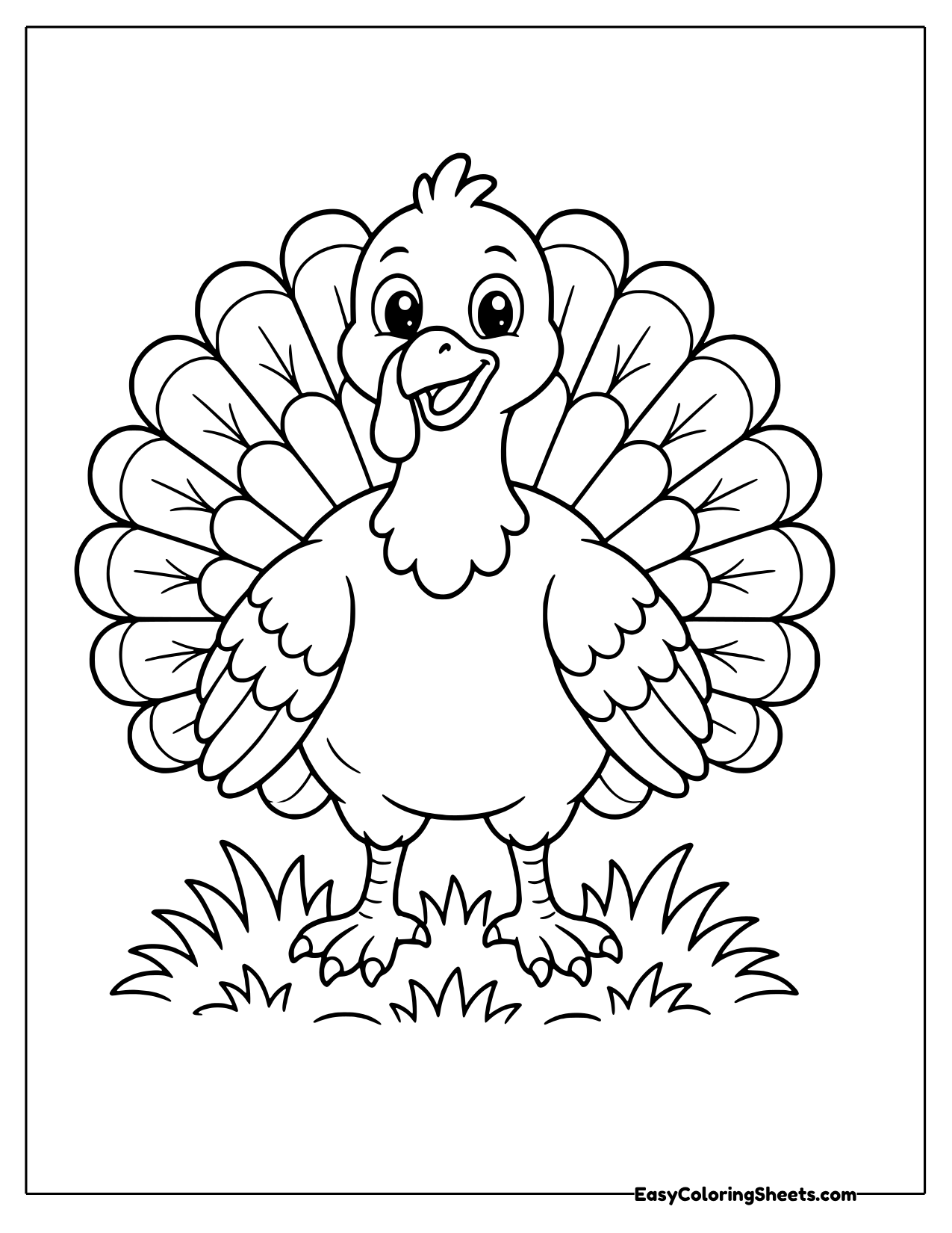 Front-facing turkey standing with feathers spread