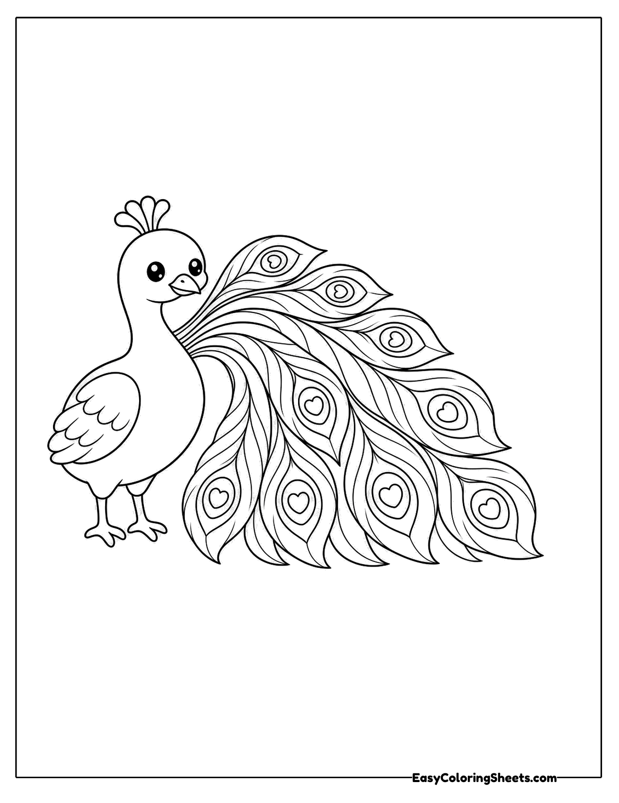 Simple peacock in side view