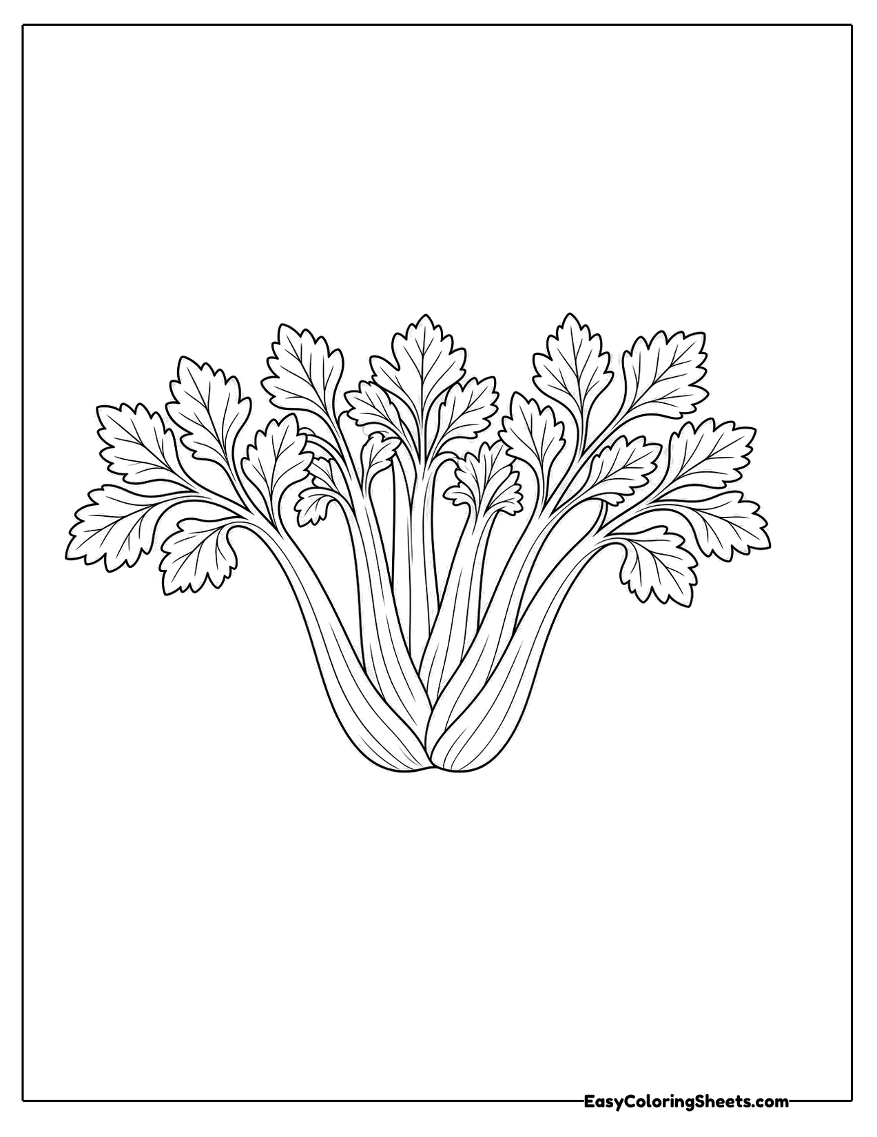 Wide bunch of celery with leafy tops