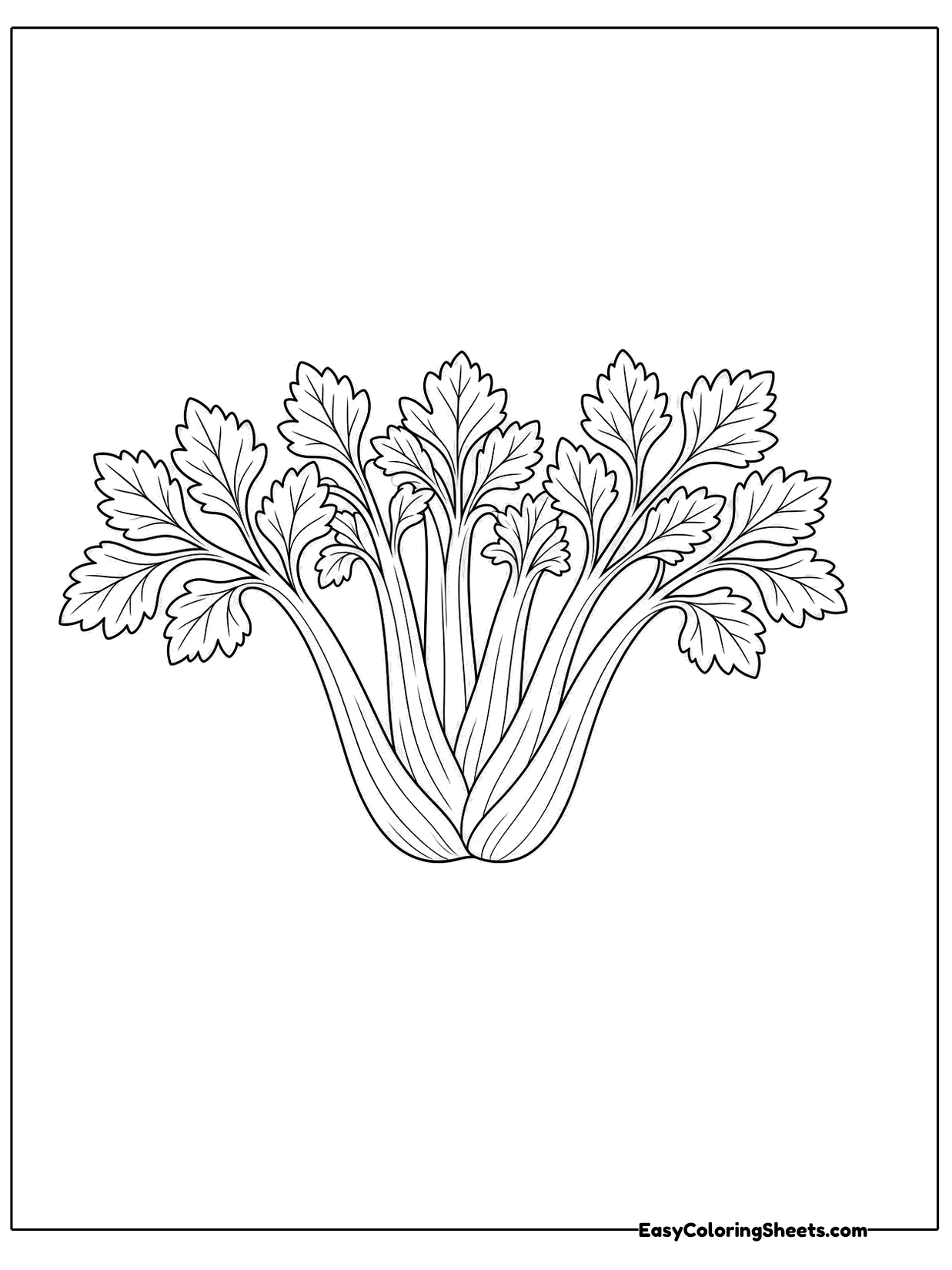 A wide bunch of celery lies on its side with pale stalks joined at the base and frilly leaves spreading out.