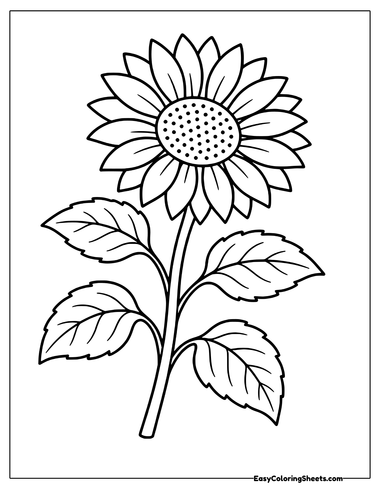 Sunflower with a gently leaning stem