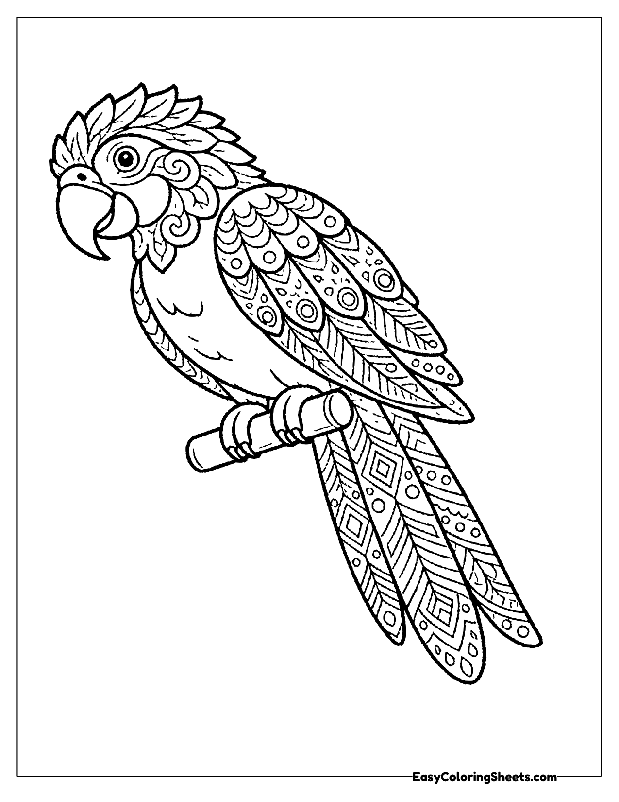 Macaw on a branch filled with mandala patterns