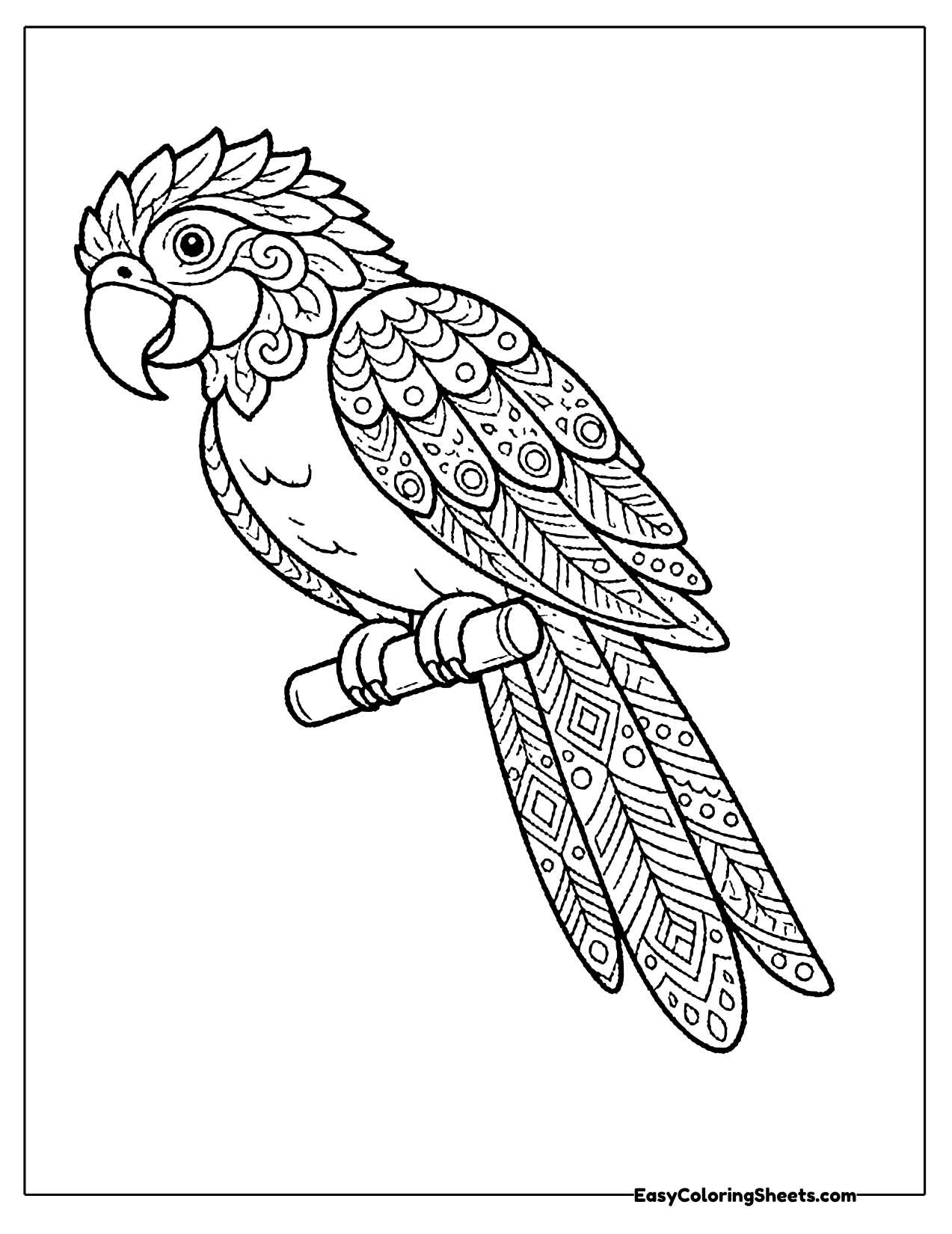 Macaw on a branch filled with mandala patterns