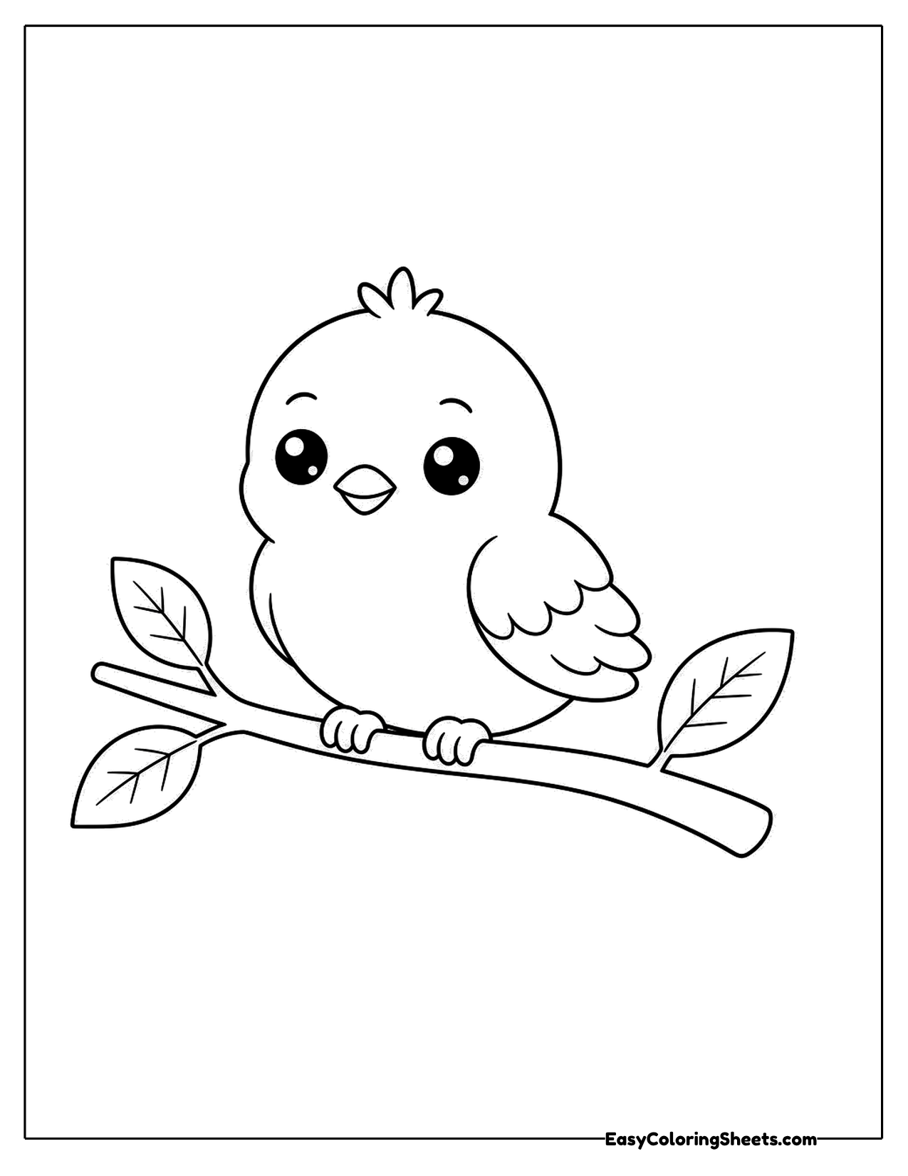 Round bird perched on a branch