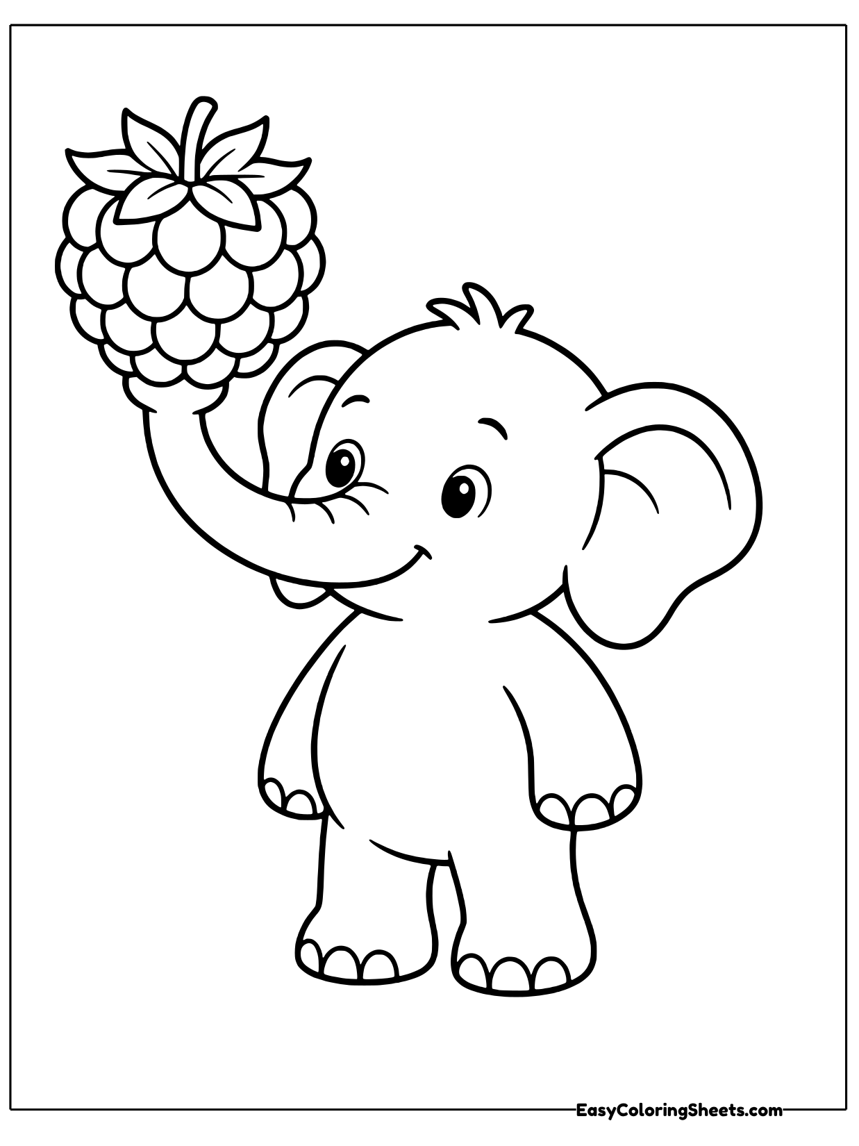 A happy baby elephant curls its long trunk up high to lift a juicy raspberry above its head.