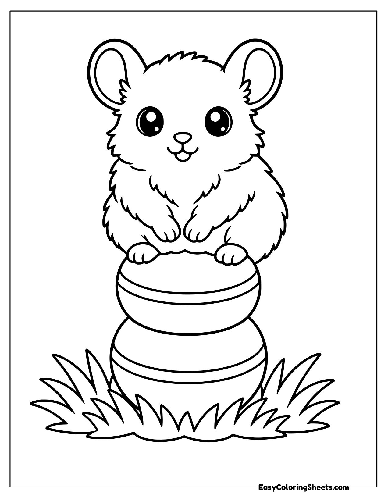 Chinchilla sitting on stacked round blocks