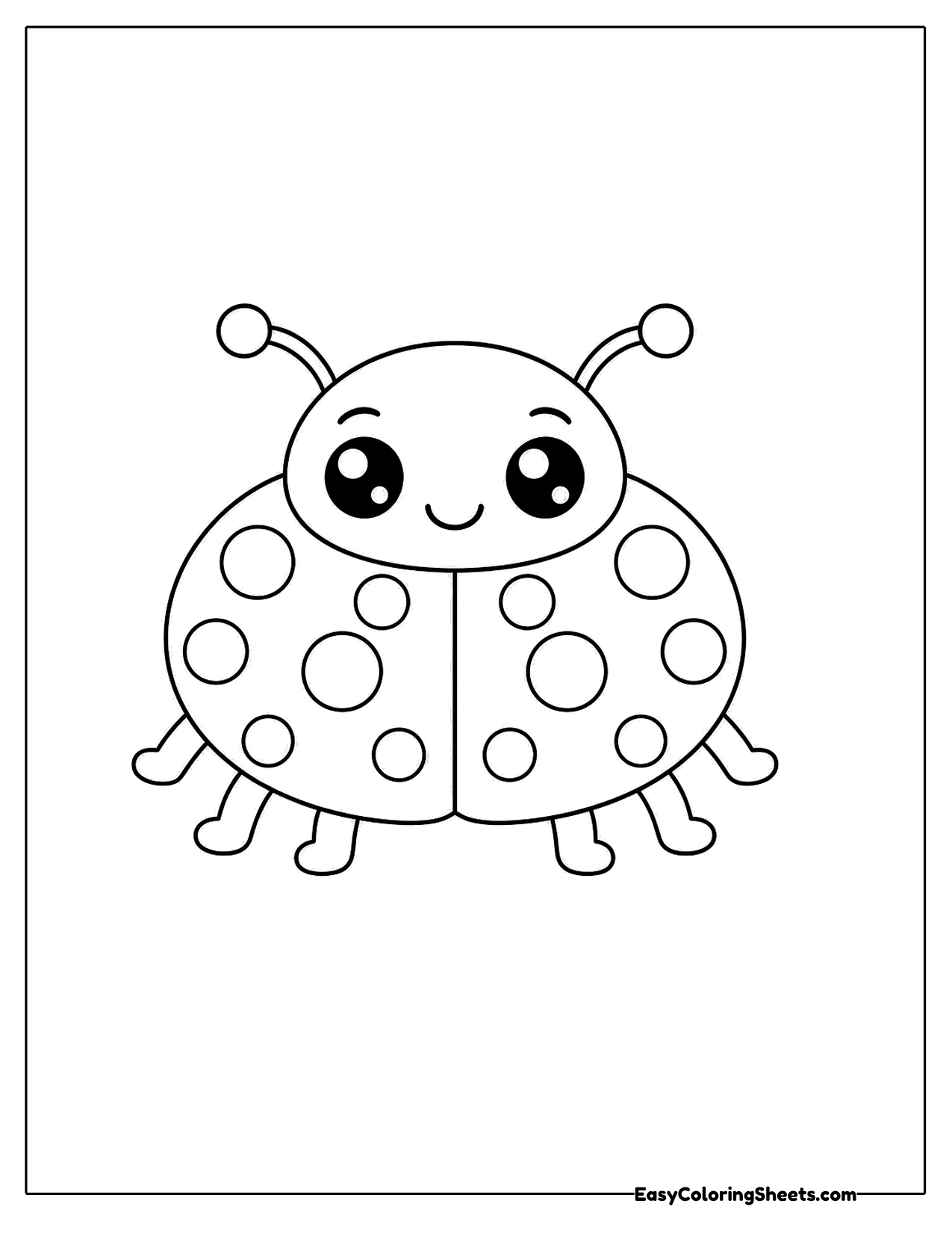 Ladybug seen from the front with a split shell