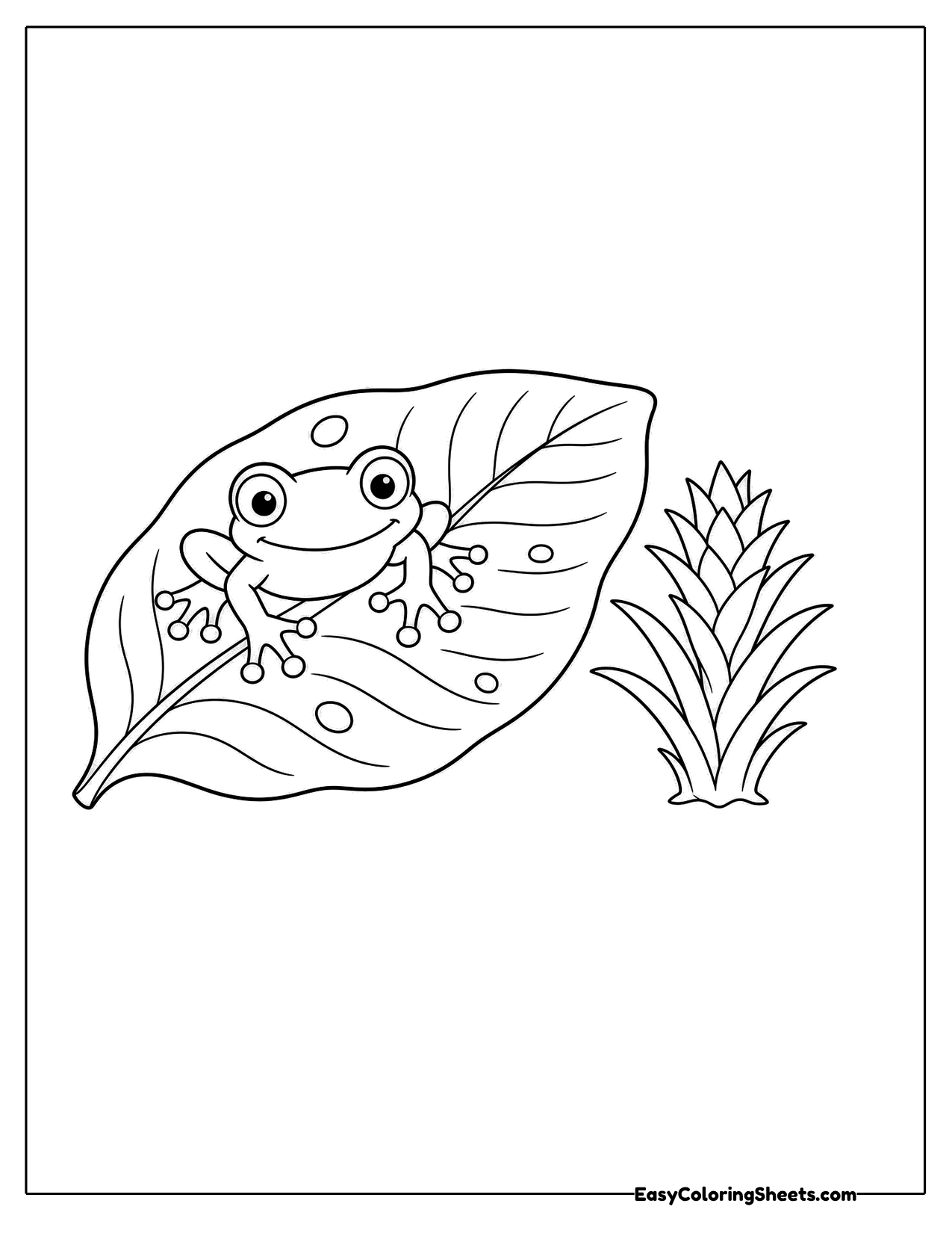 Red eyed tree frog sitting on a big leaf