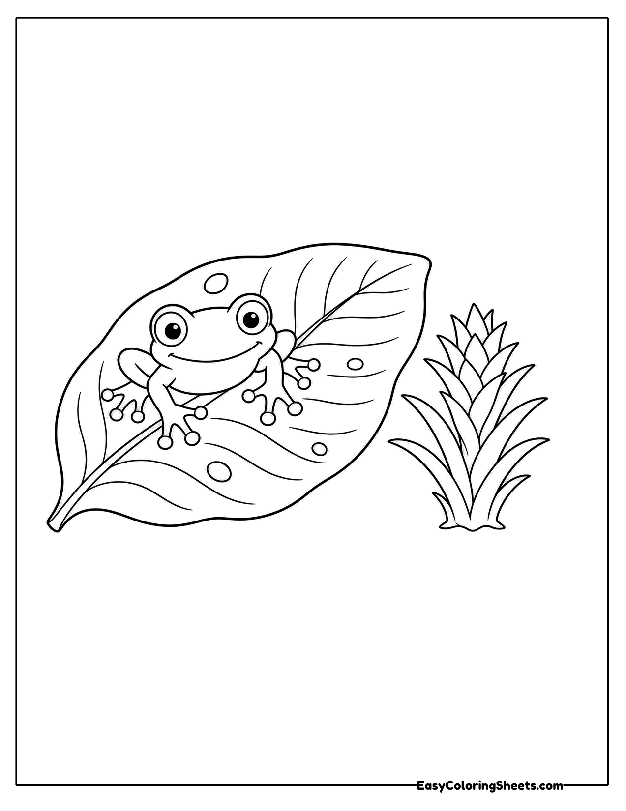Red eyed tree frog sitting on a big leaf