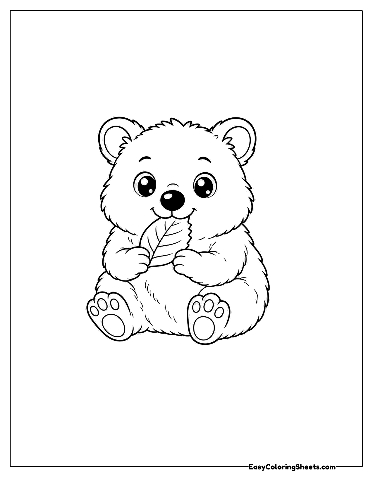 Quokka eating a leaf