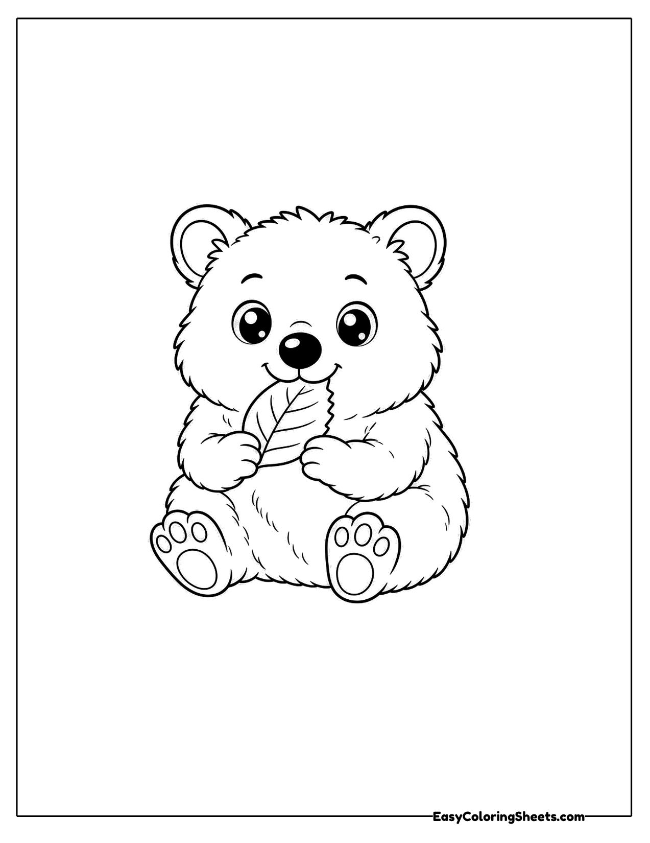 Quokka eating a leaf