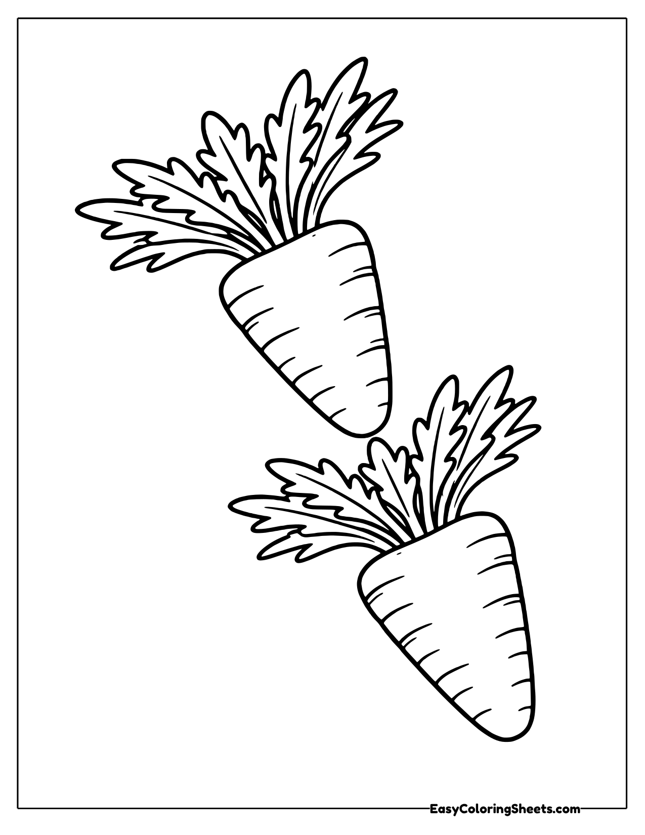 Two whole carrots are stacked one above the other, each topped with a bushy fan of feathery leaves.