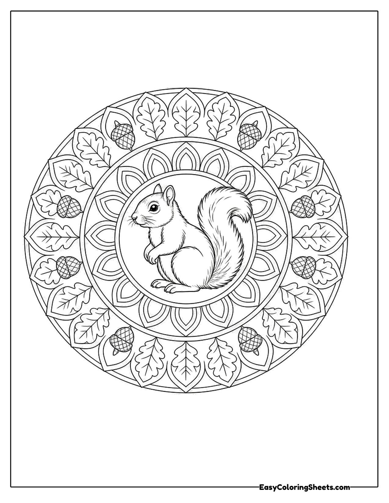 Squirrel in the center of a round mandala