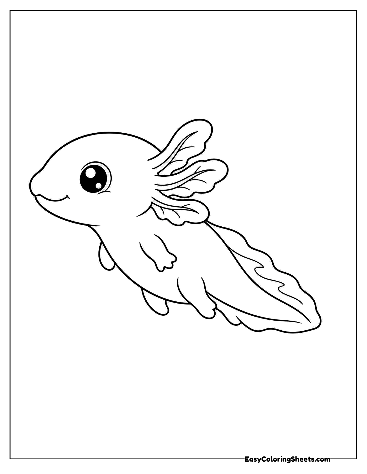 Axolotl swimming in side profile