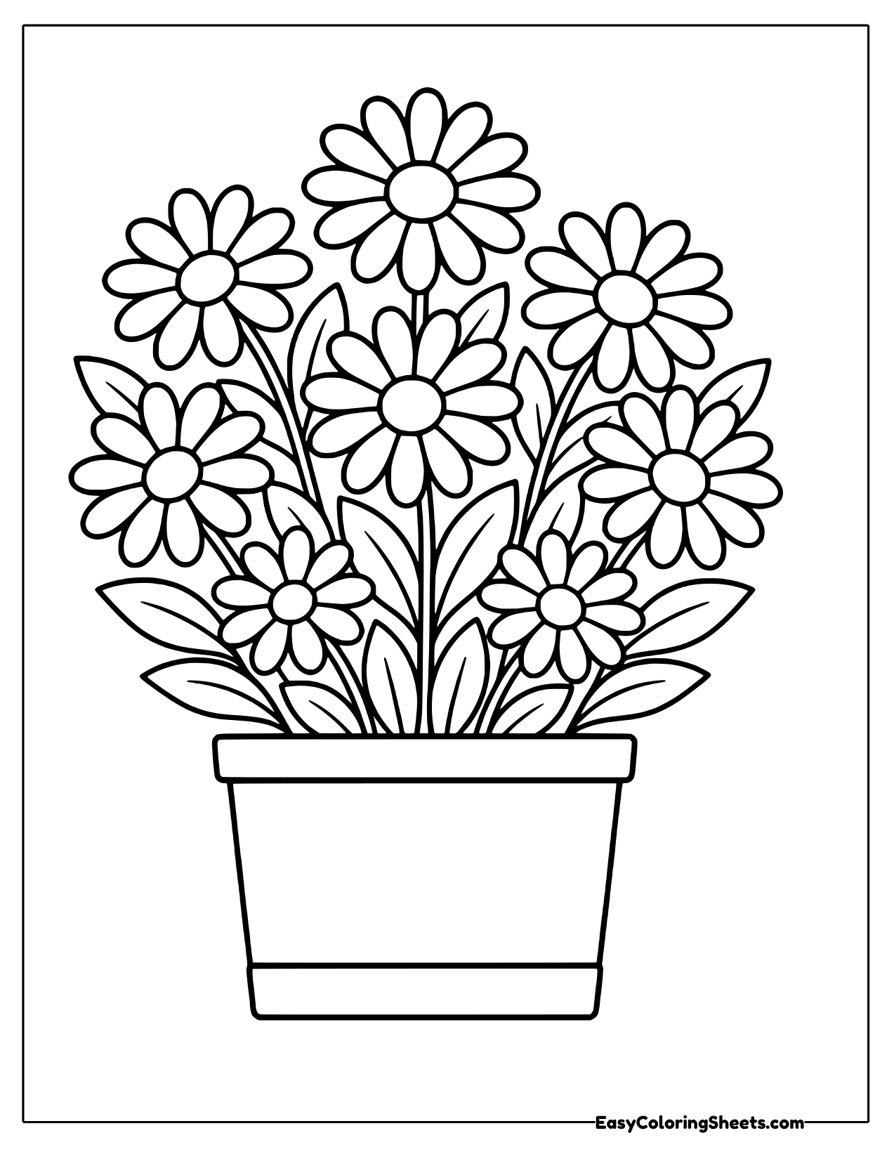 Planter full of daisy bushes
