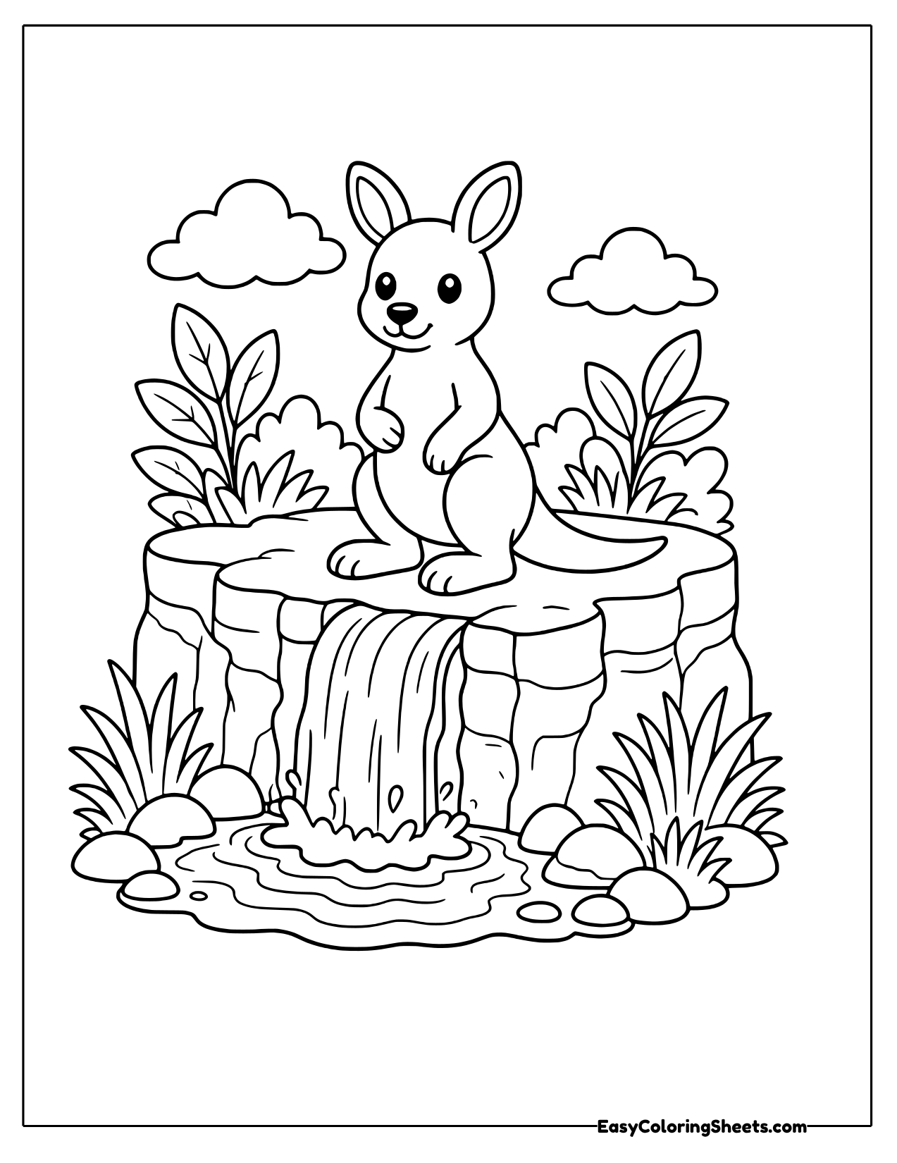 Kangaroo on a rocky ledge above a small waterfall