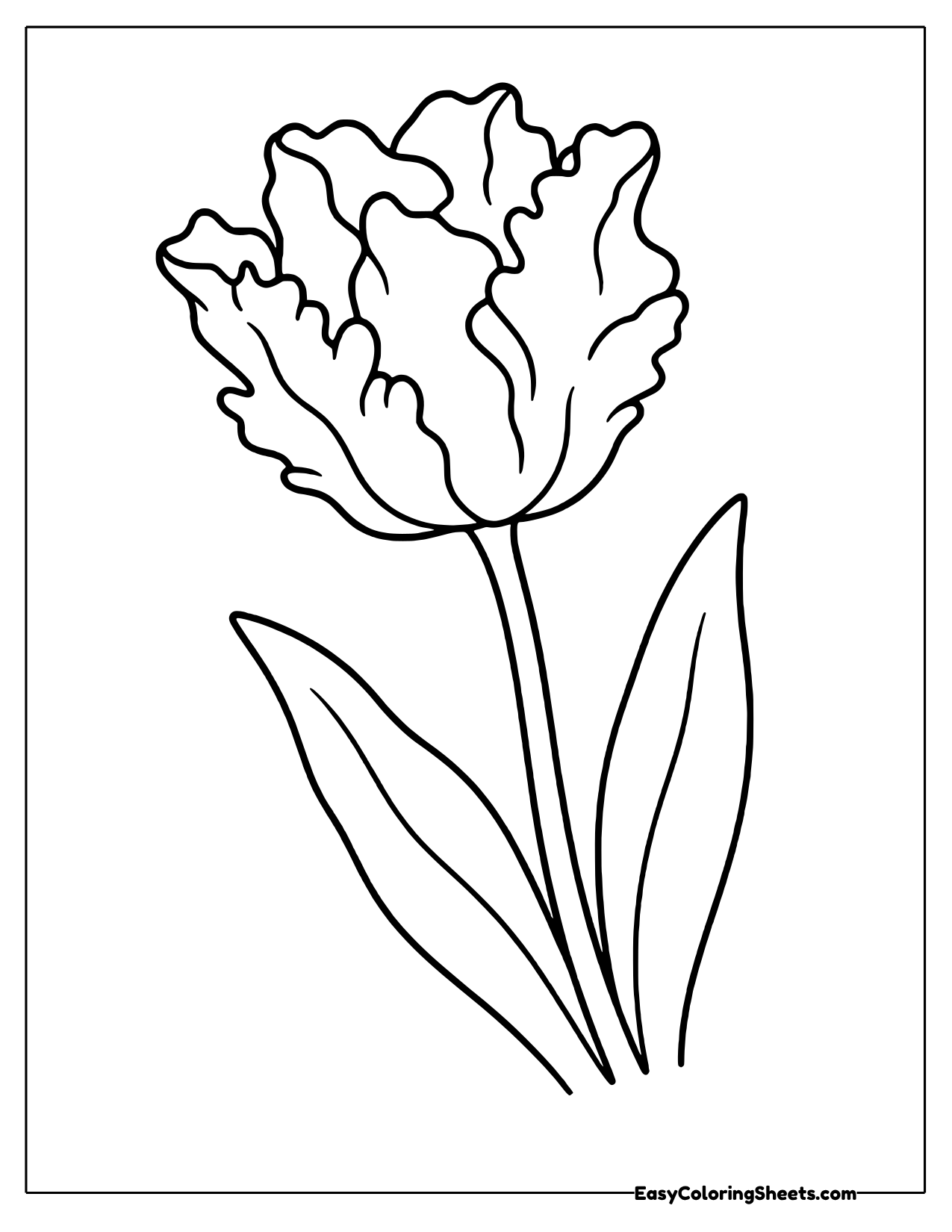 A tall parrot tulip shows petals with wavy, ruffled edges that twist like bird feathers.