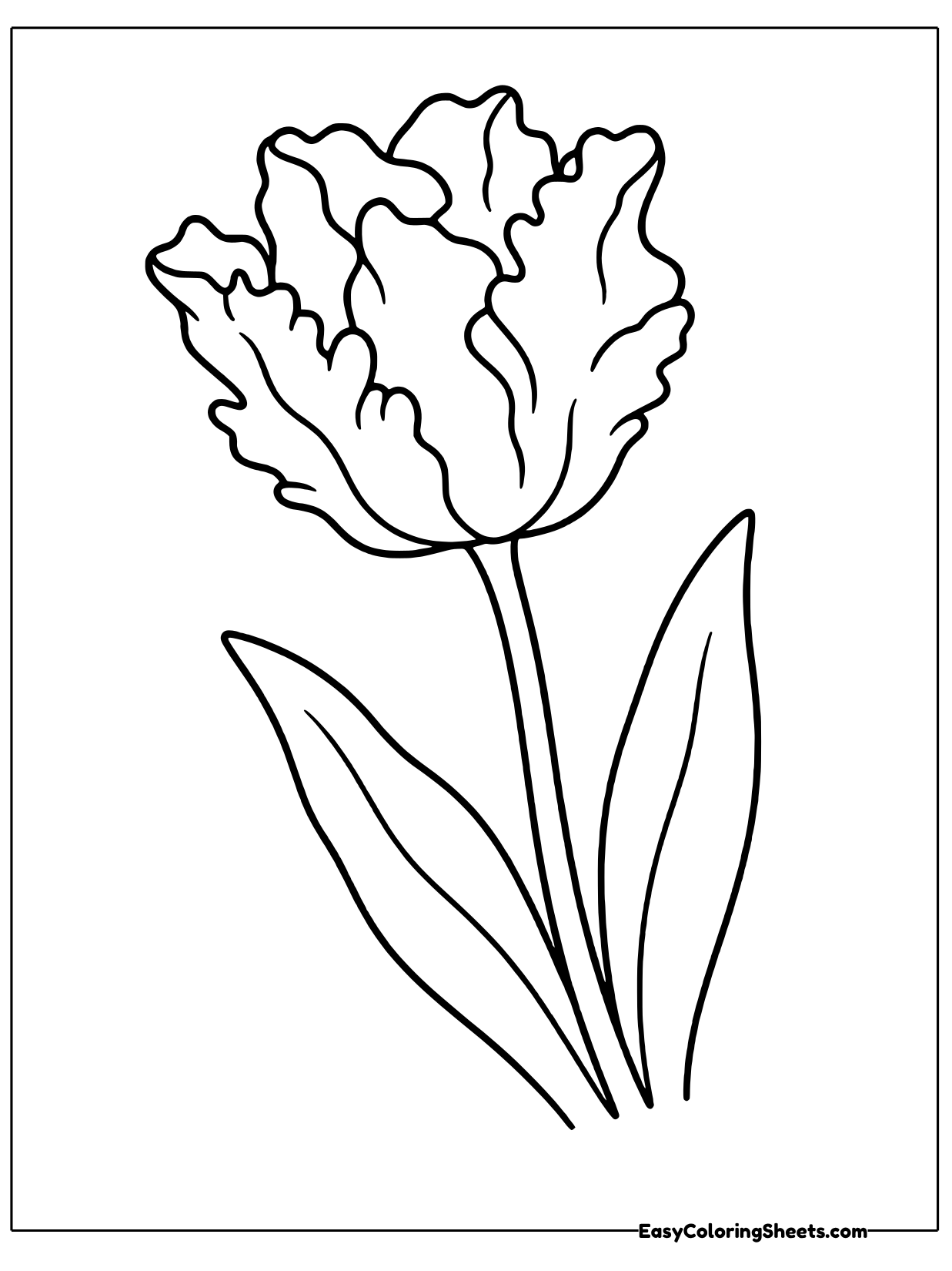 A tall parrot tulip shows petals with wavy, ruffled edges that twist like bird feathers.