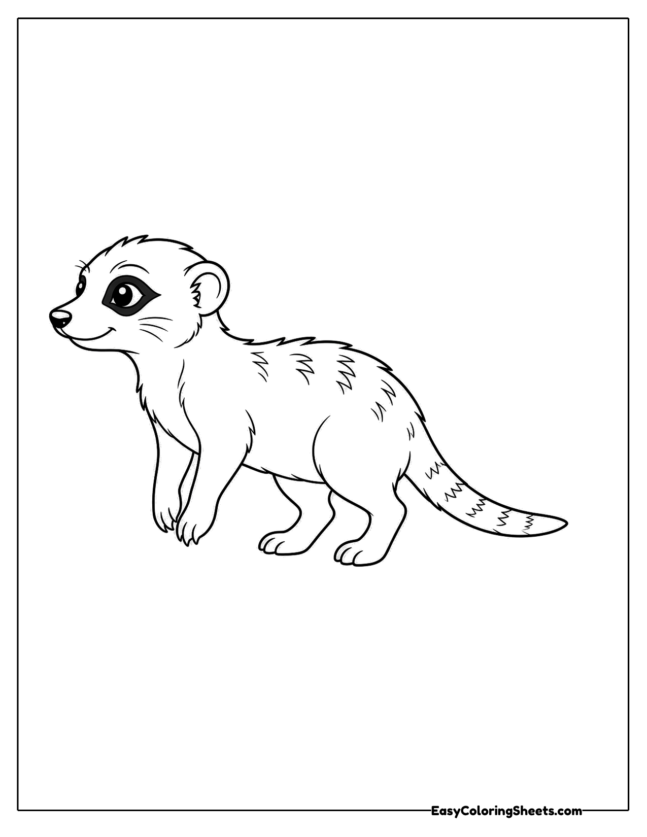 Cute meerkat walking on all fours