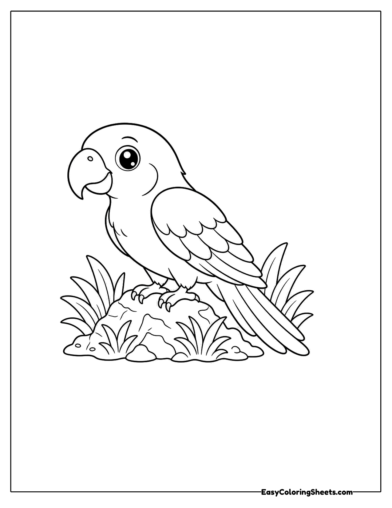 Parrot standing on a grassy rock