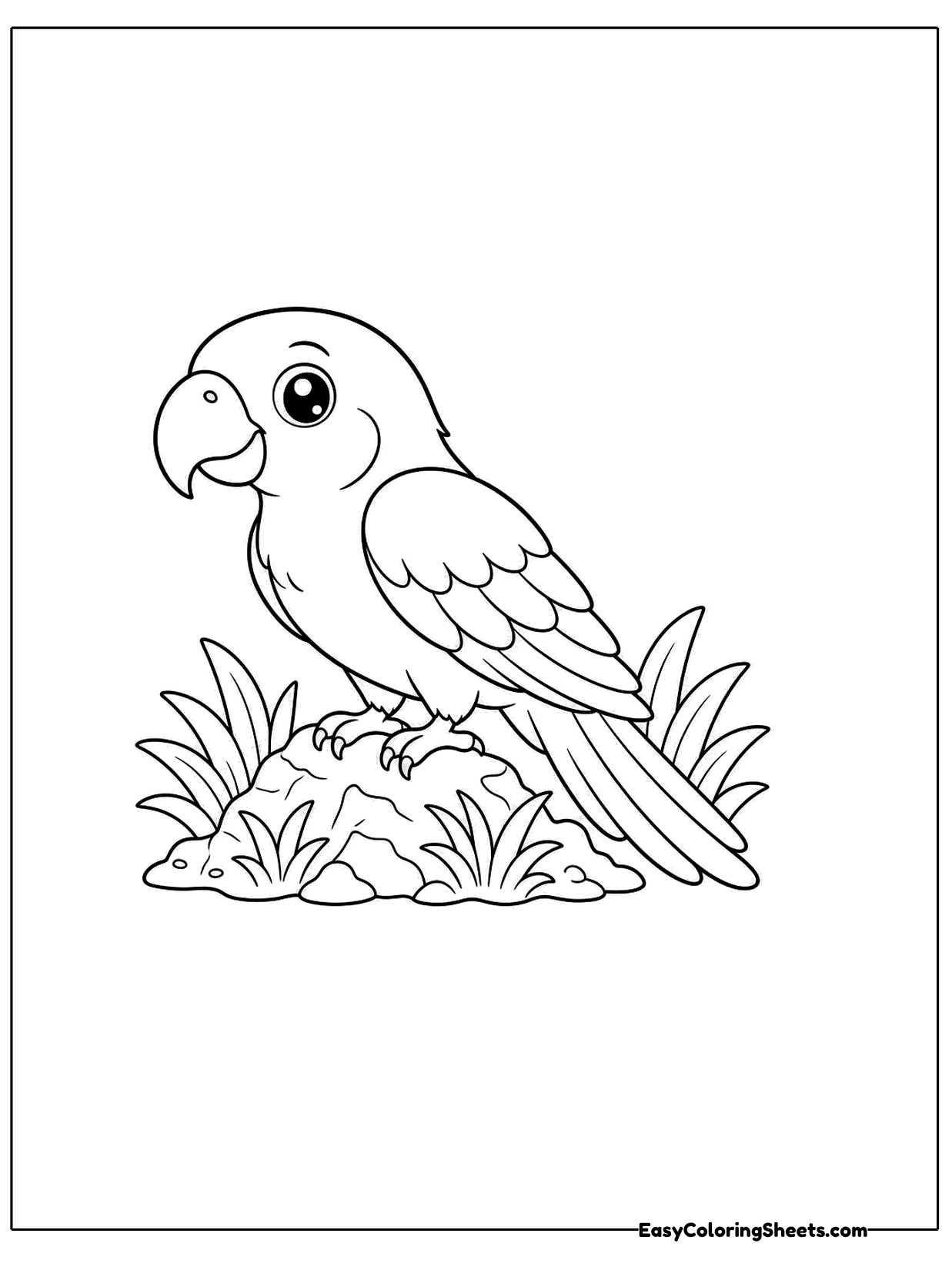 A parrot stands on a small rock with grass tufts around it.