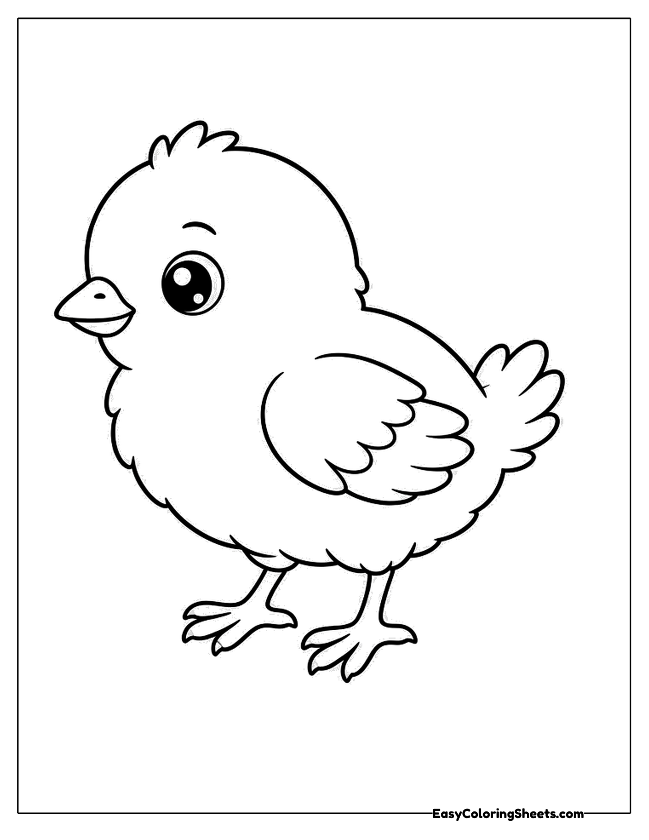 Cute chick walking with its wing raised