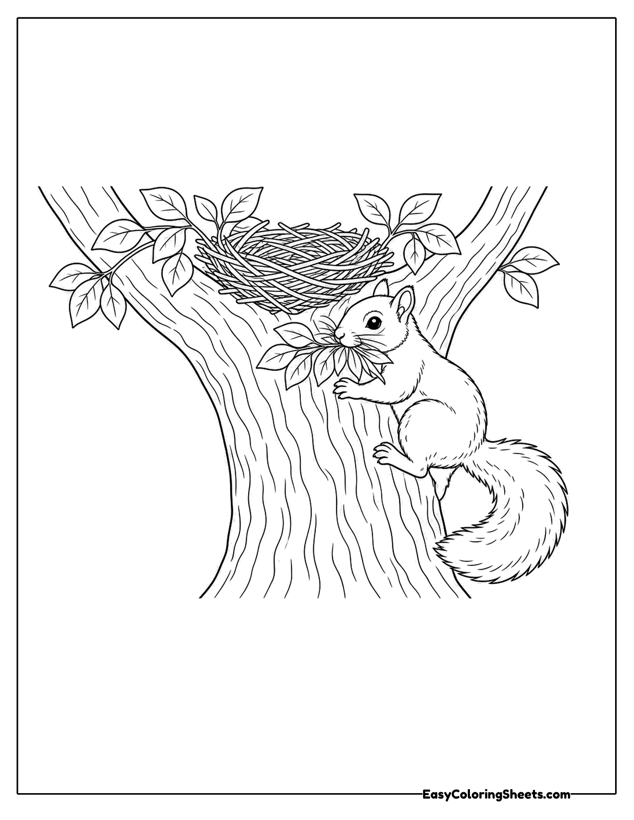 Squirrel carrying leaves up a tree to a nest