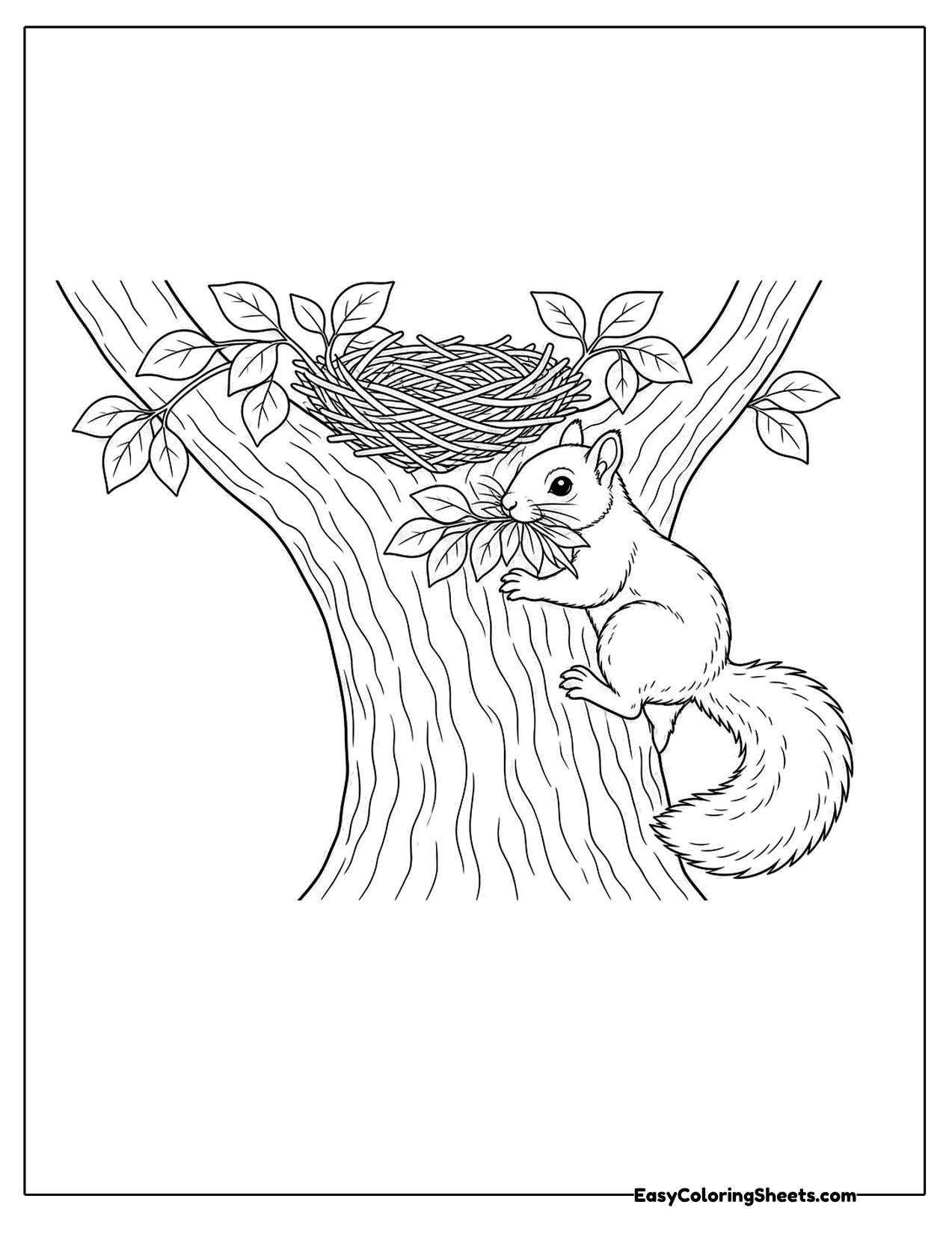 Squirrel carrying leaves up a tree to a nest