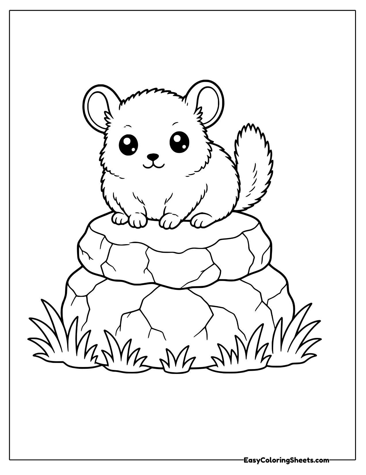 Chinchilla perched on a pile of rocks