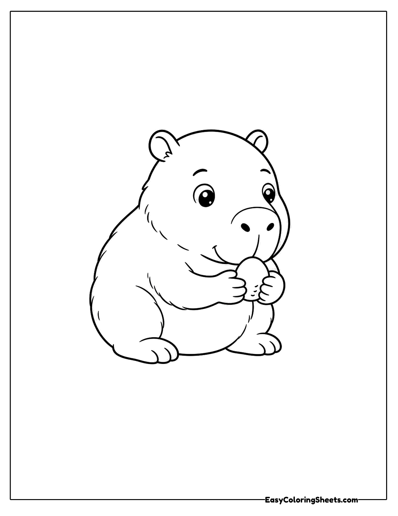 Capybara nibbling a small pebble