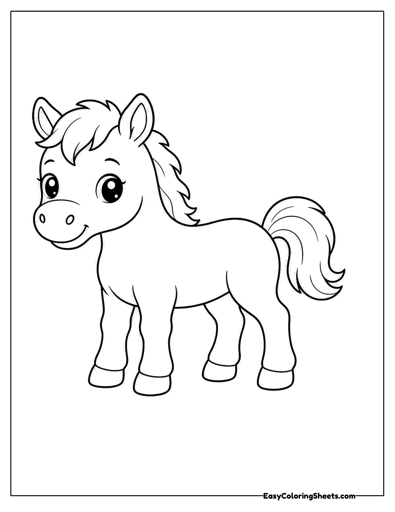 Young foal standing with a fluffy mane and tail
