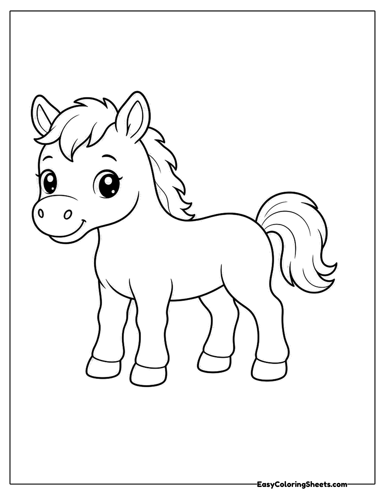 Young foal standing with a fluffy mane and tail
